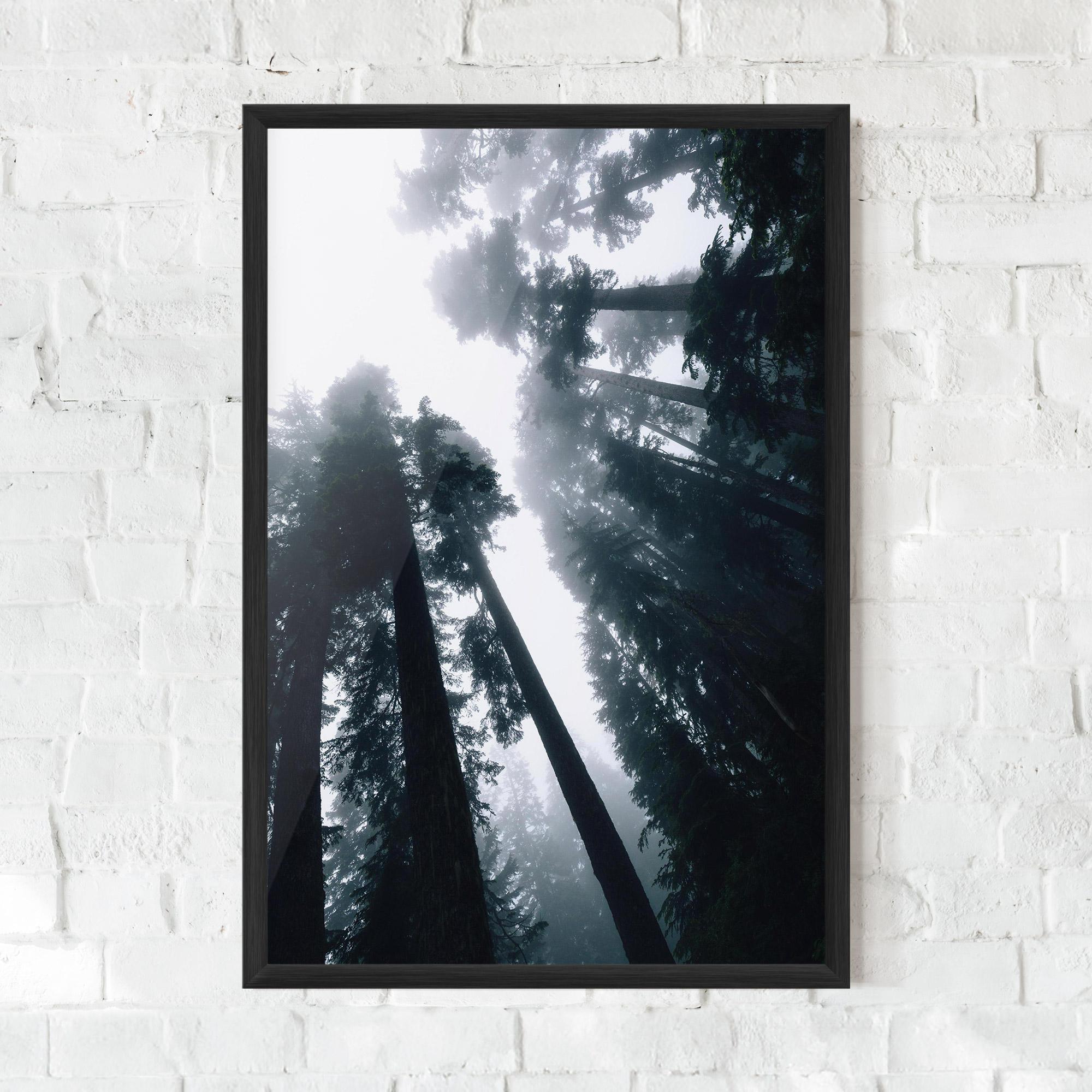 Gerahmte Poster Foggy Big Trees mockup 0