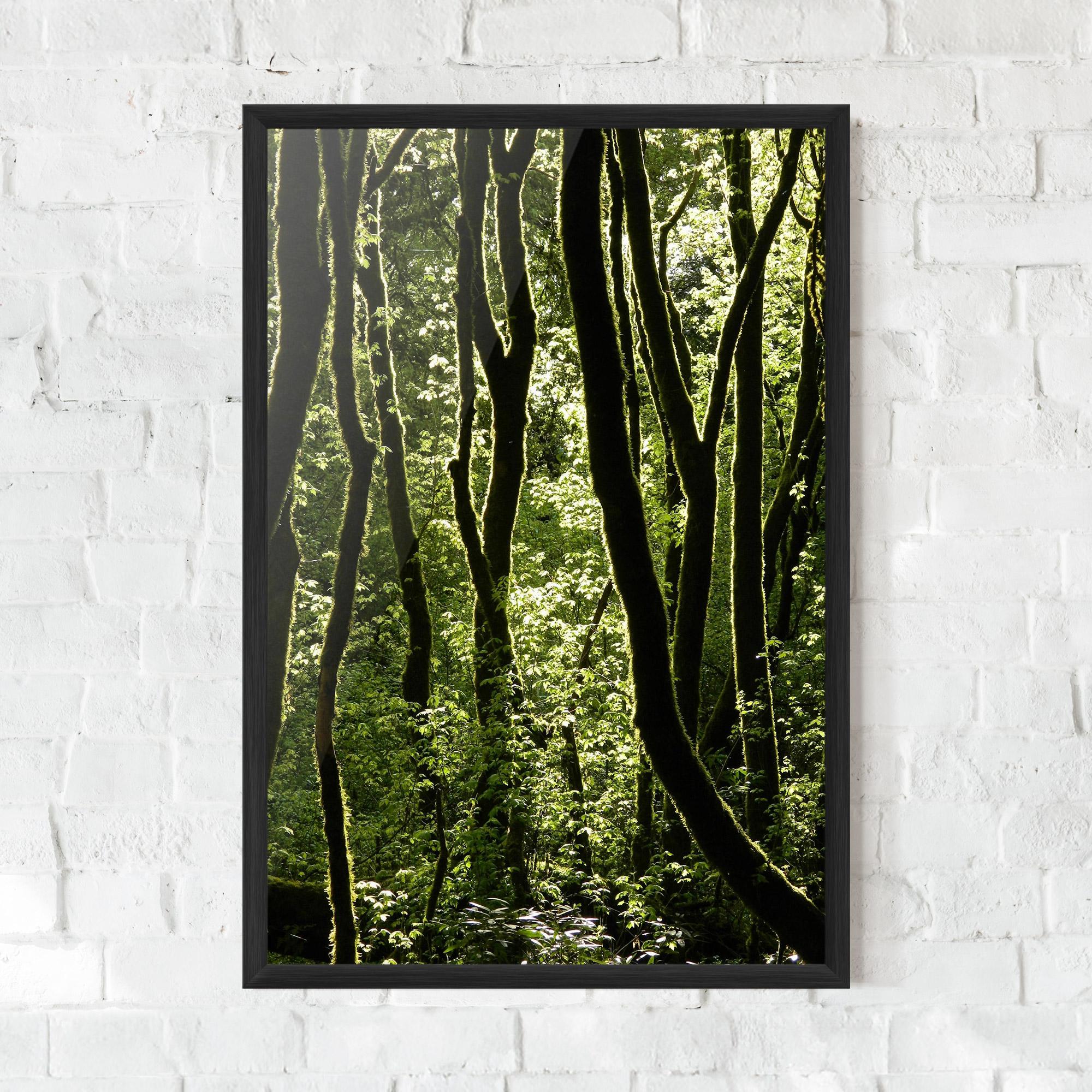Gerahmte Poster Forest Black Trees mockup 0