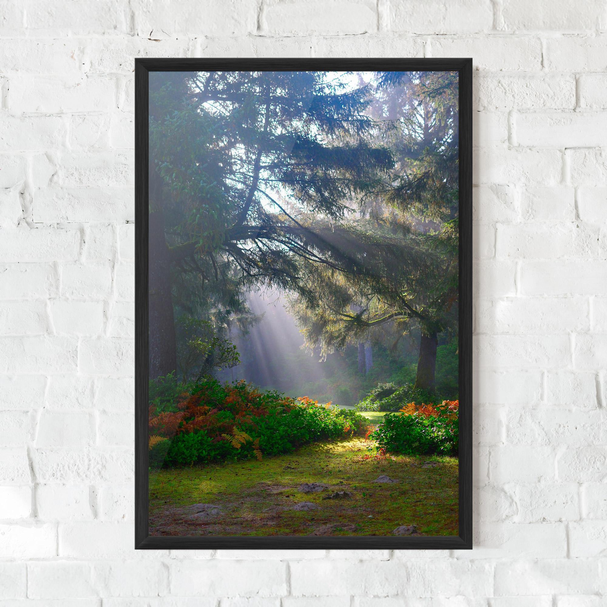 Gerahmte Poster Forest Light mockup 0