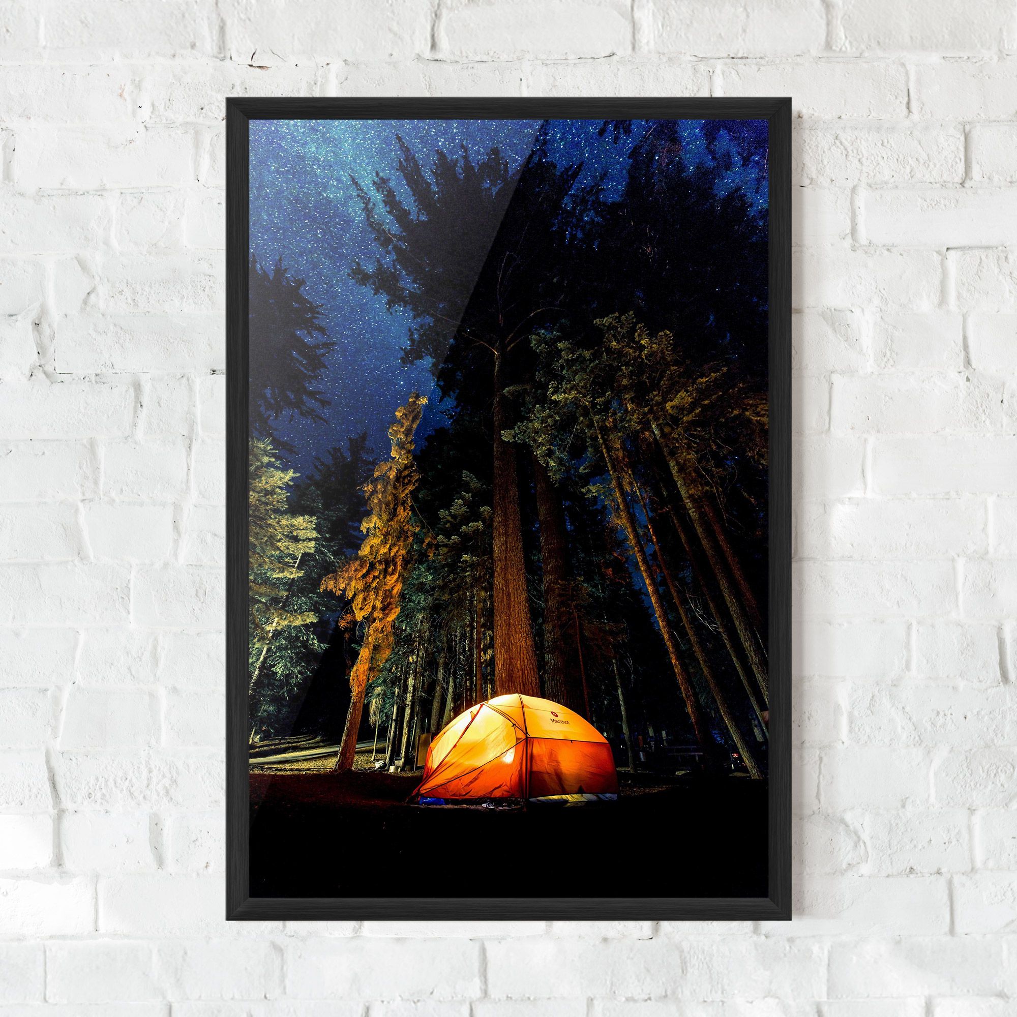 Forest Trip mockup 0
