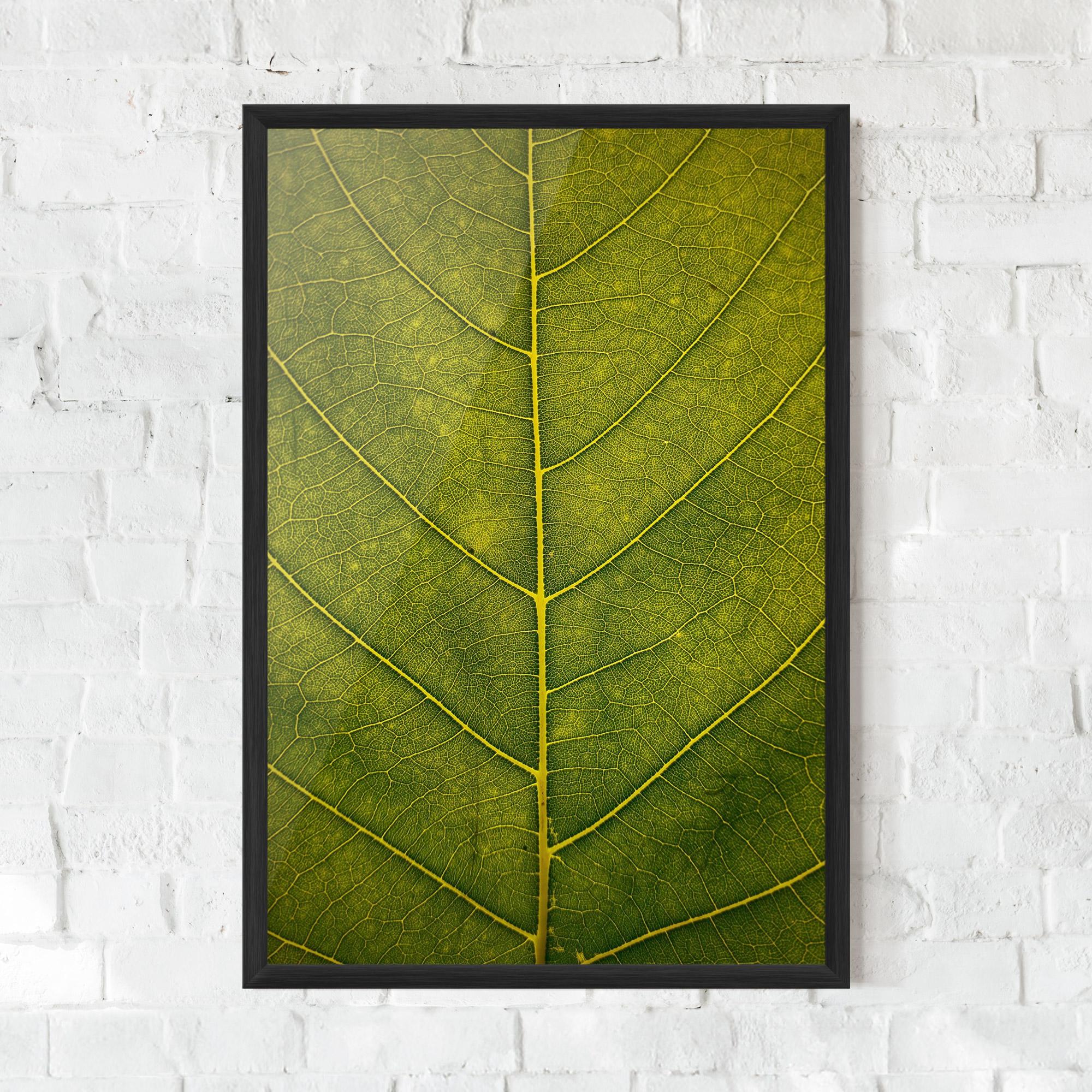 Gerahmte Poster Leaf Closeup Forest mockup 0