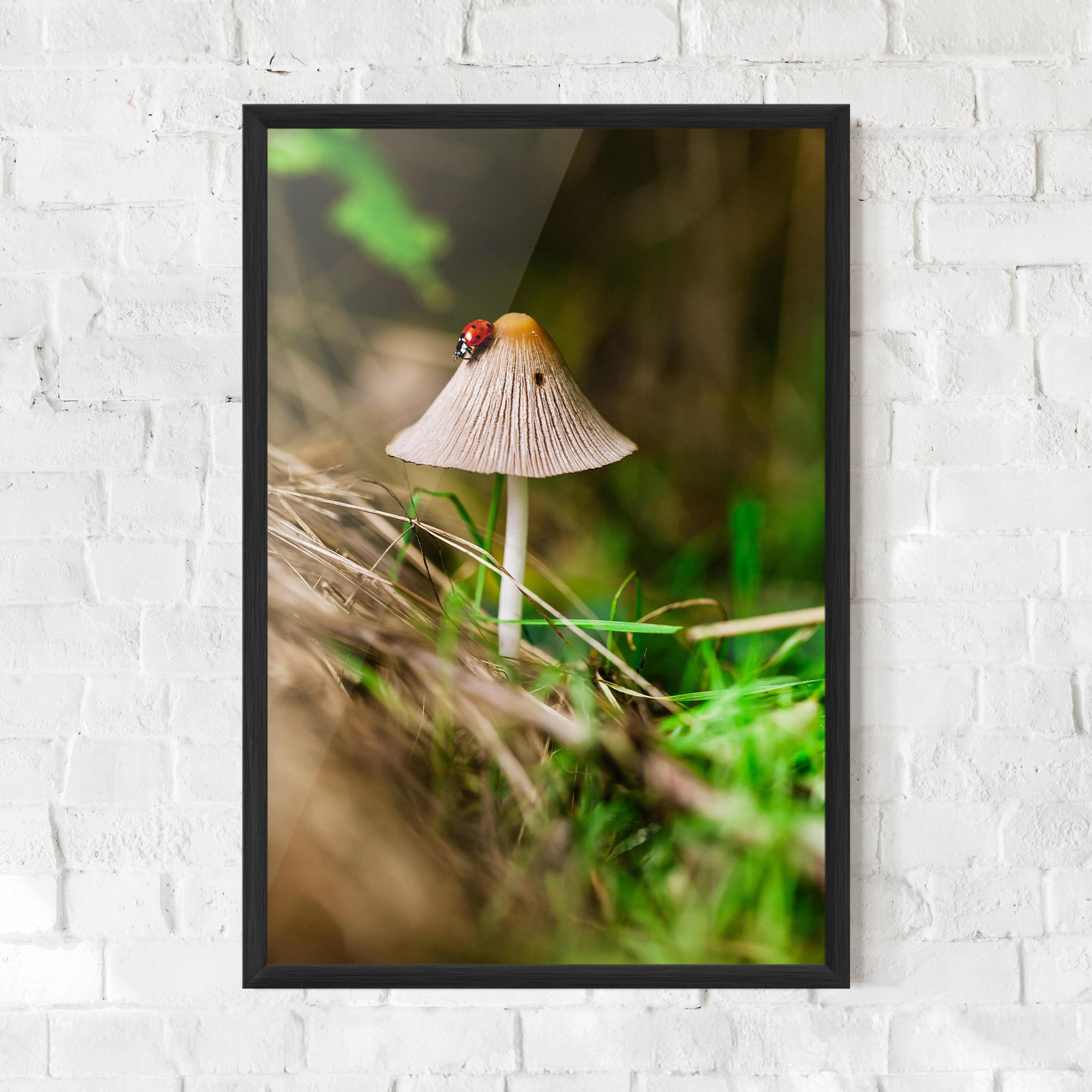 Gerahmte Poster Mushroom Forest mockup 0