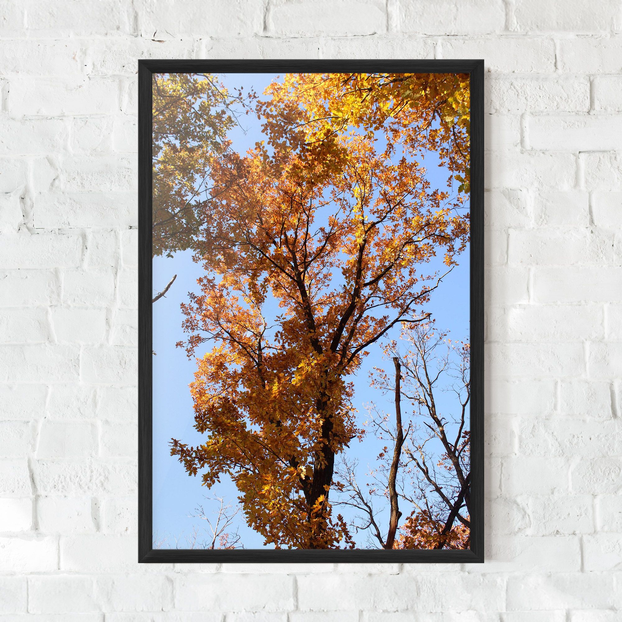 Yellow Tree Forest mockup 0