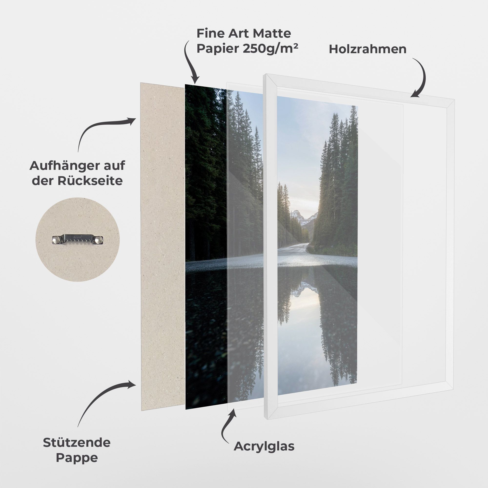 Big Lake Forest mockup 1