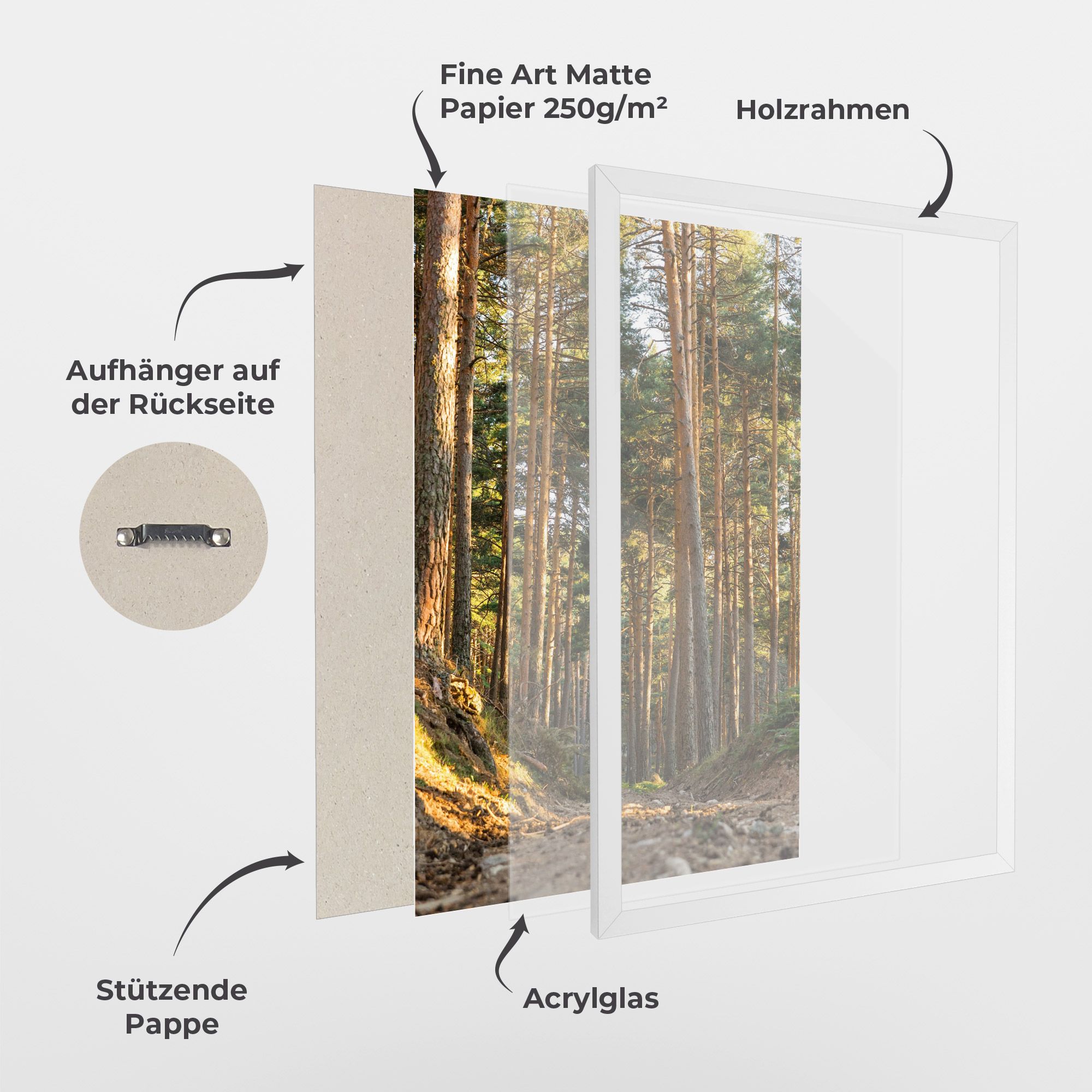 Big Trees Forest mockup 1