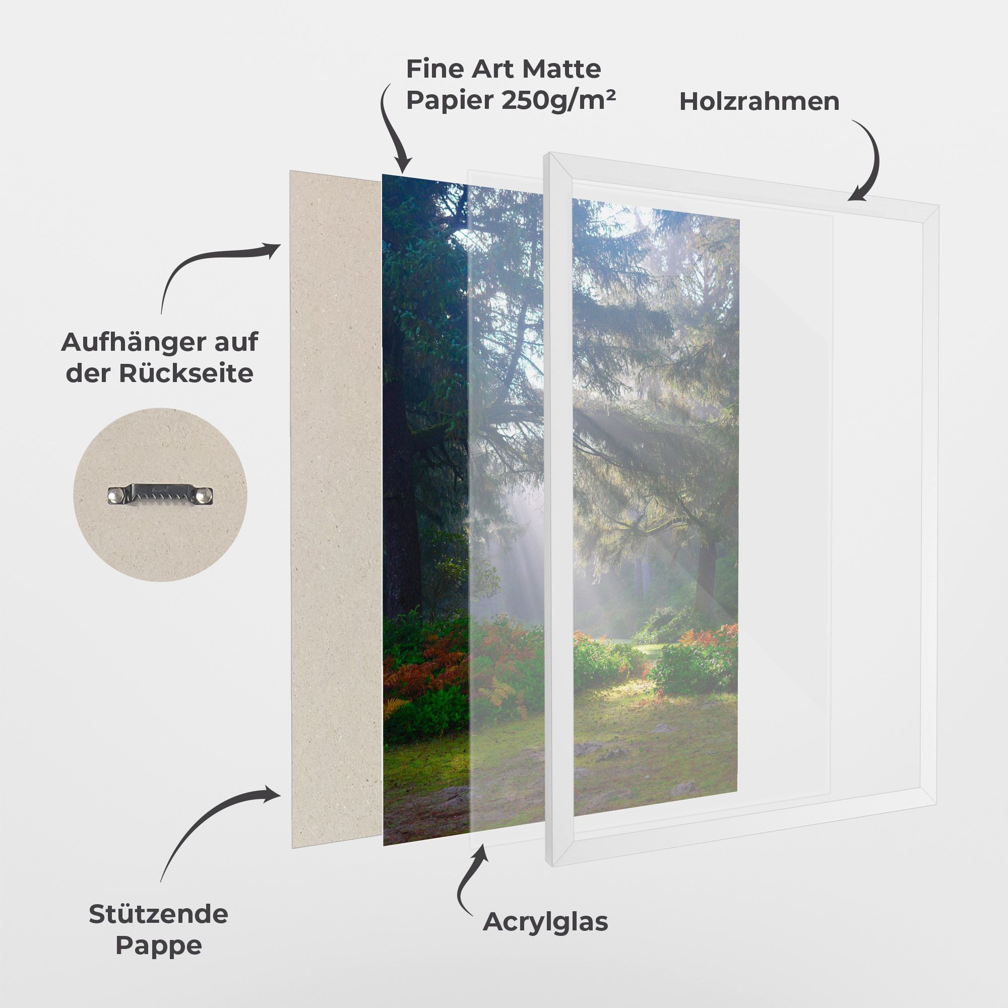 Forest Light mockup 1