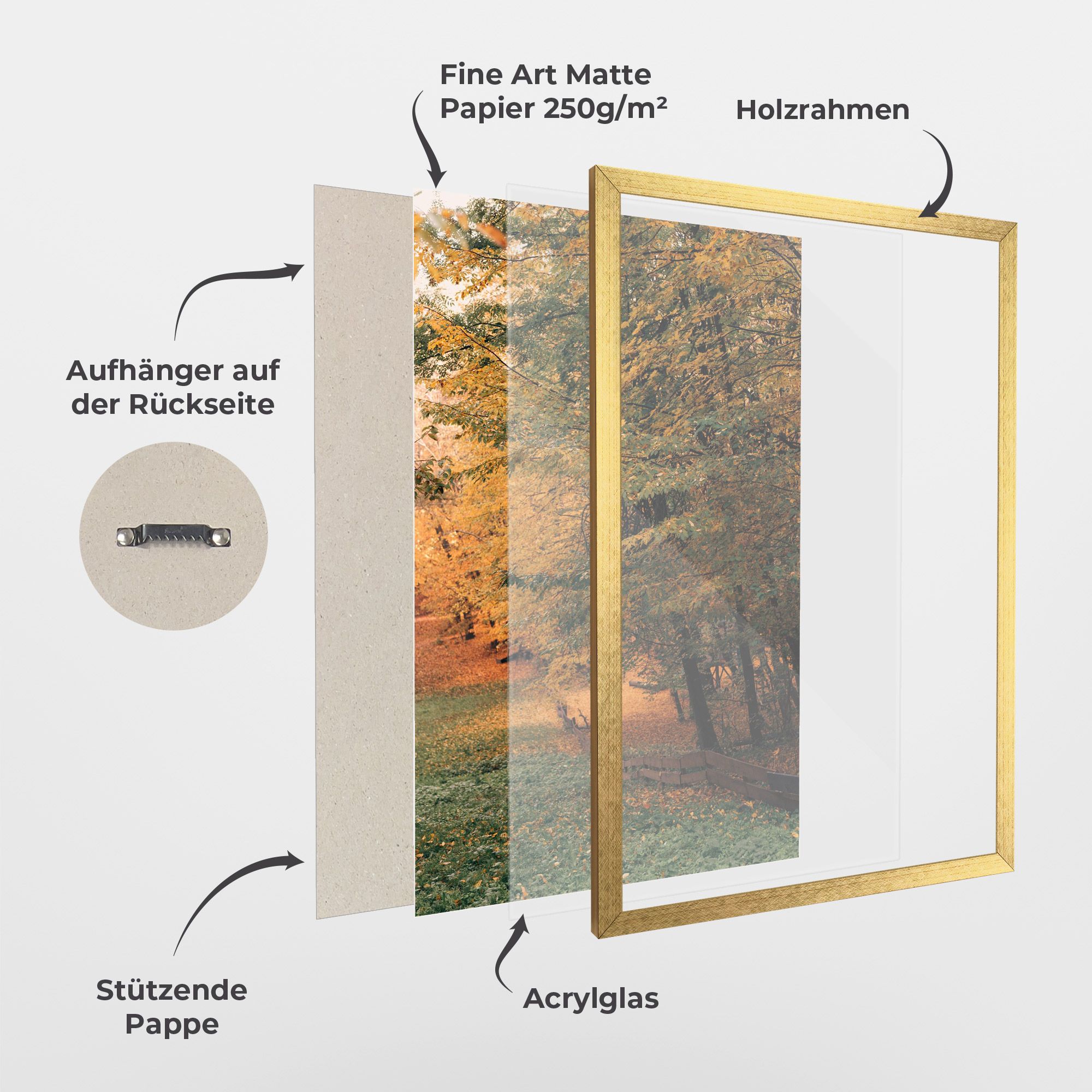 Autumn Forest mockup 1