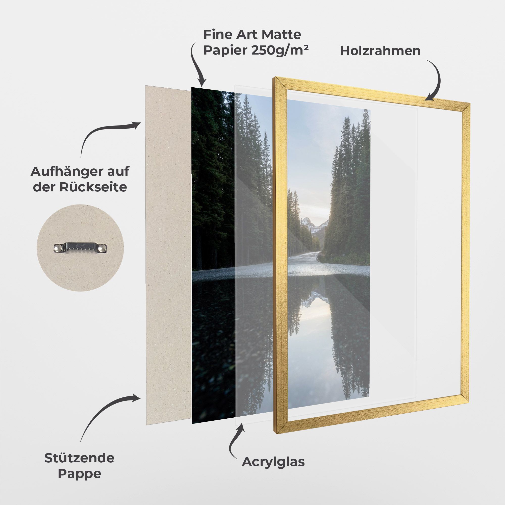 Big Lake Forest mockup 1