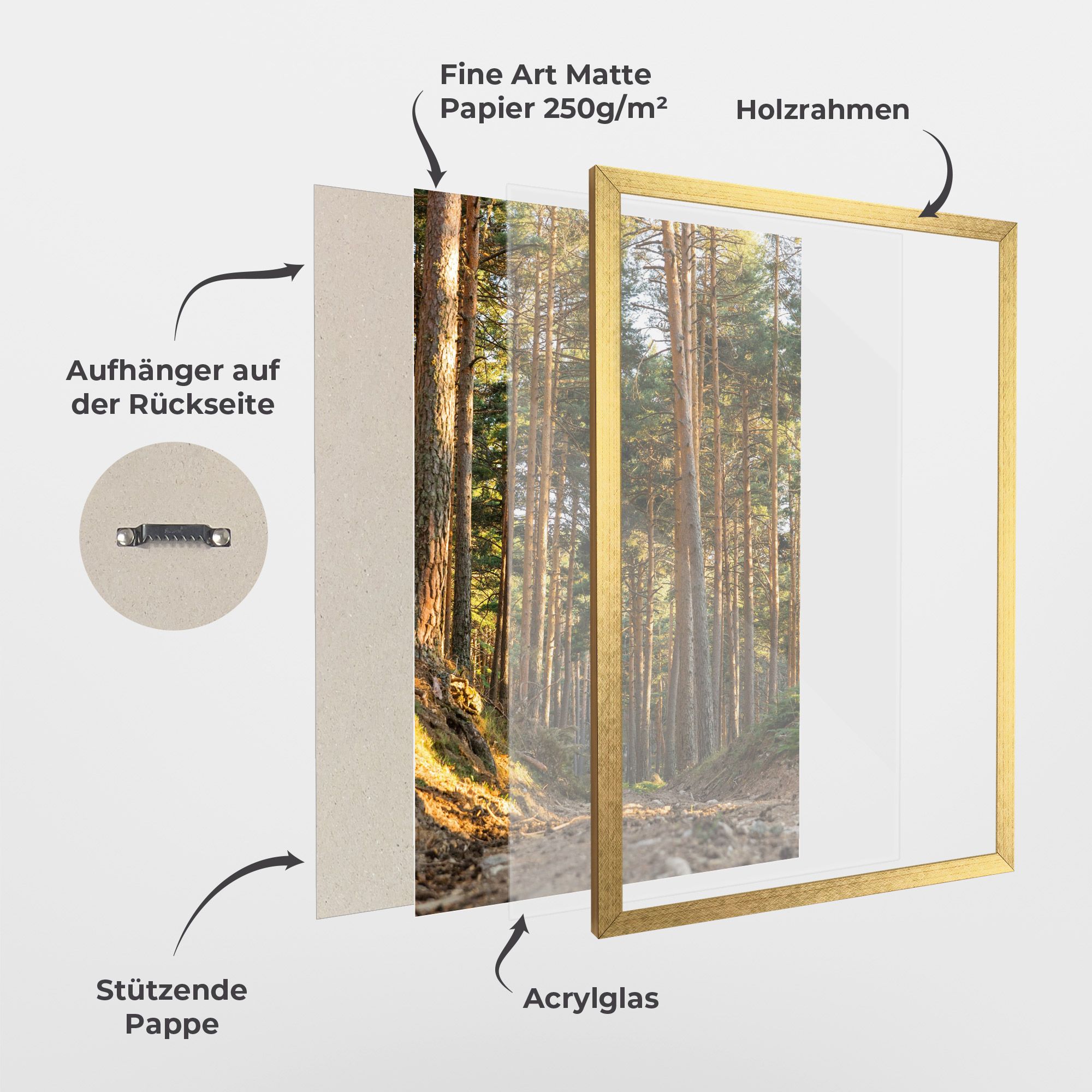 Big Trees Forest mockup 1