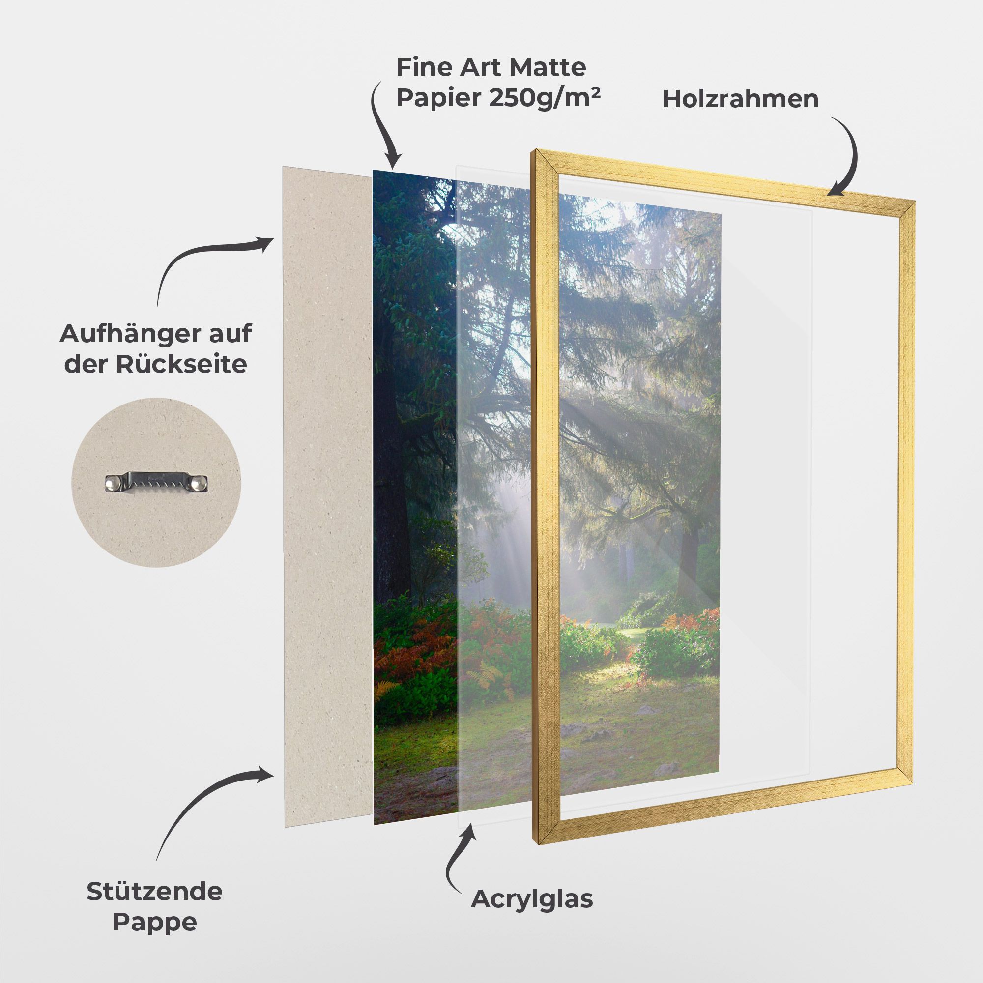 Forest Light mockup 1