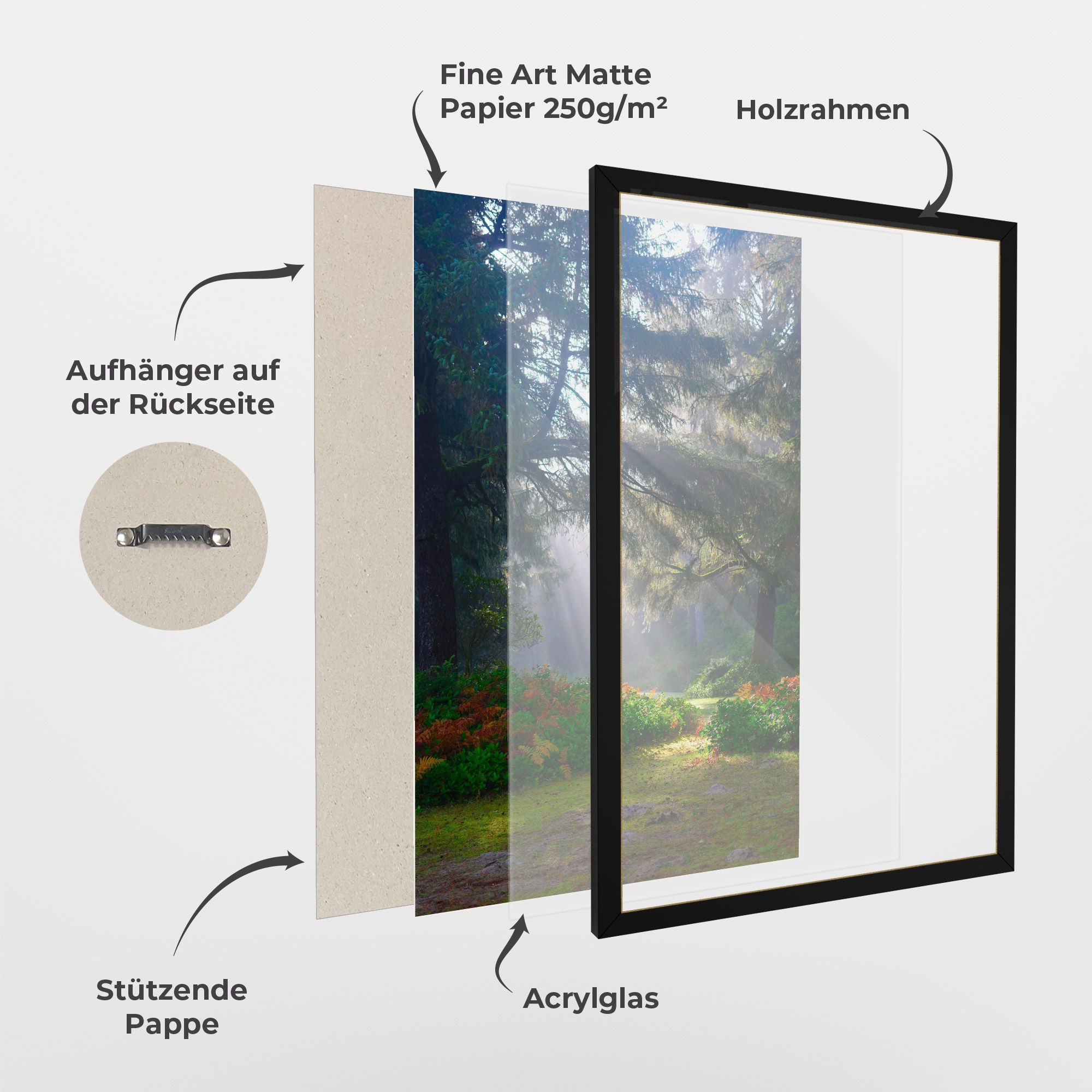 Forest Light mockup 1
