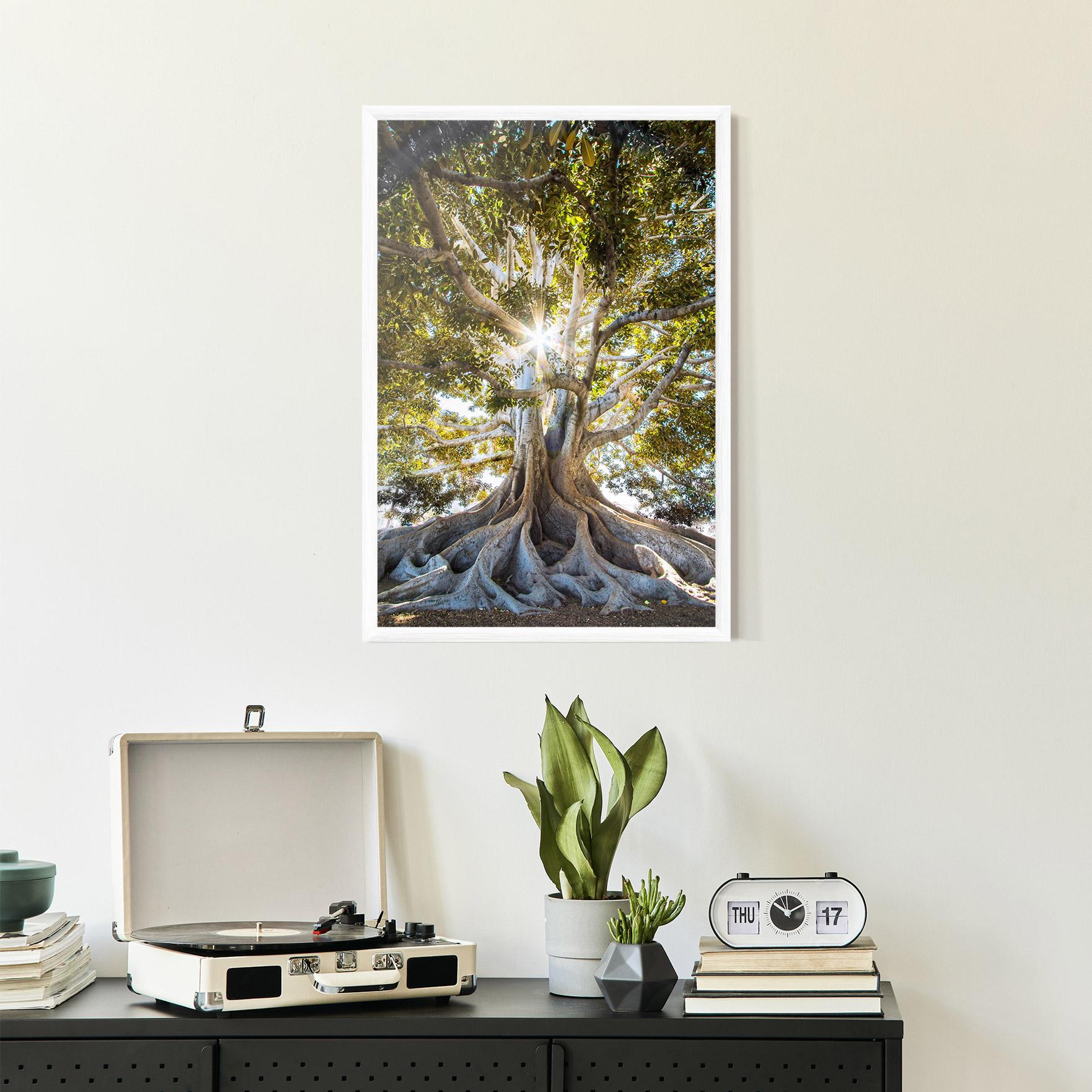 Gerahmte Poster Big Old Tree mockup 2