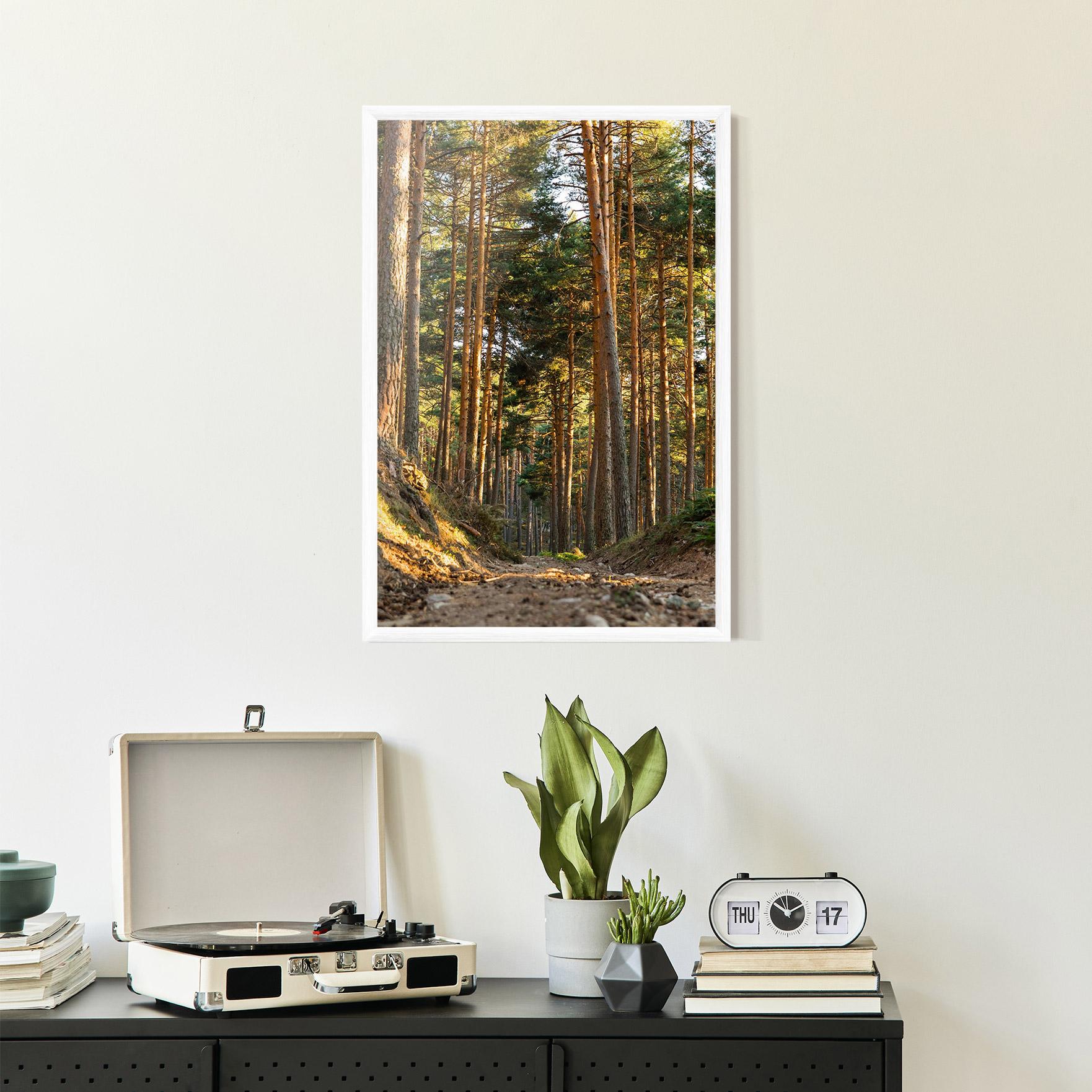 Gerahmte Poster Big Trees Forest mockup 2