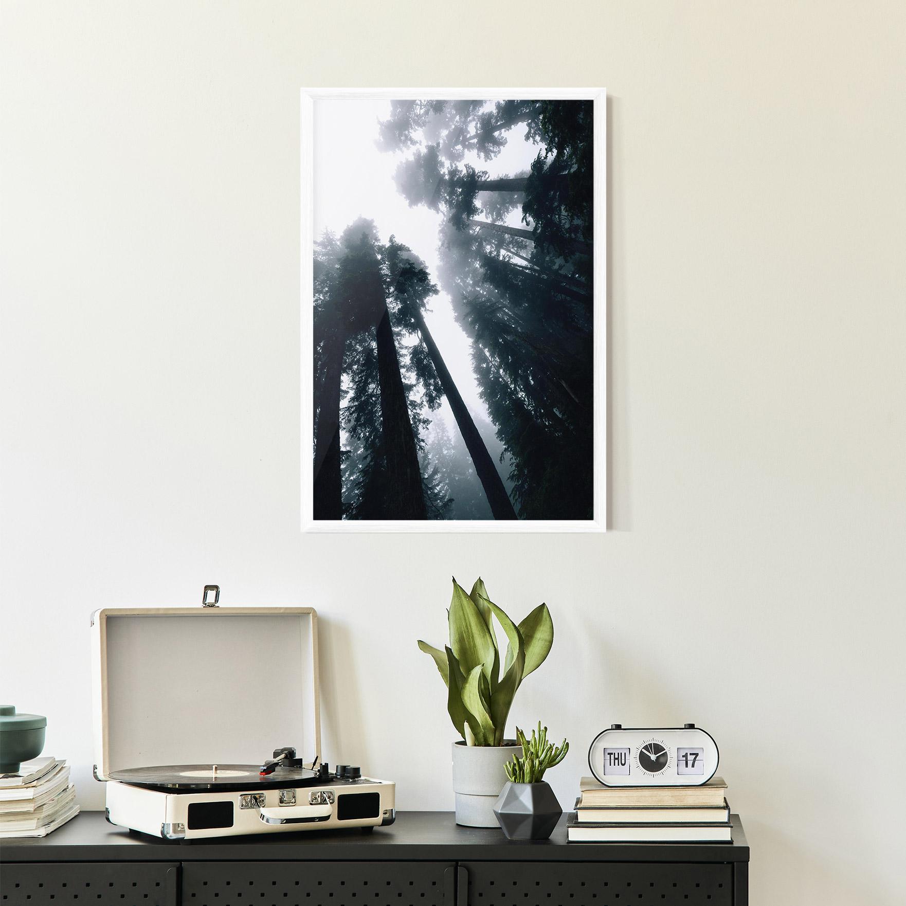 Gerahmte Poster Foggy Big Trees mockup 2