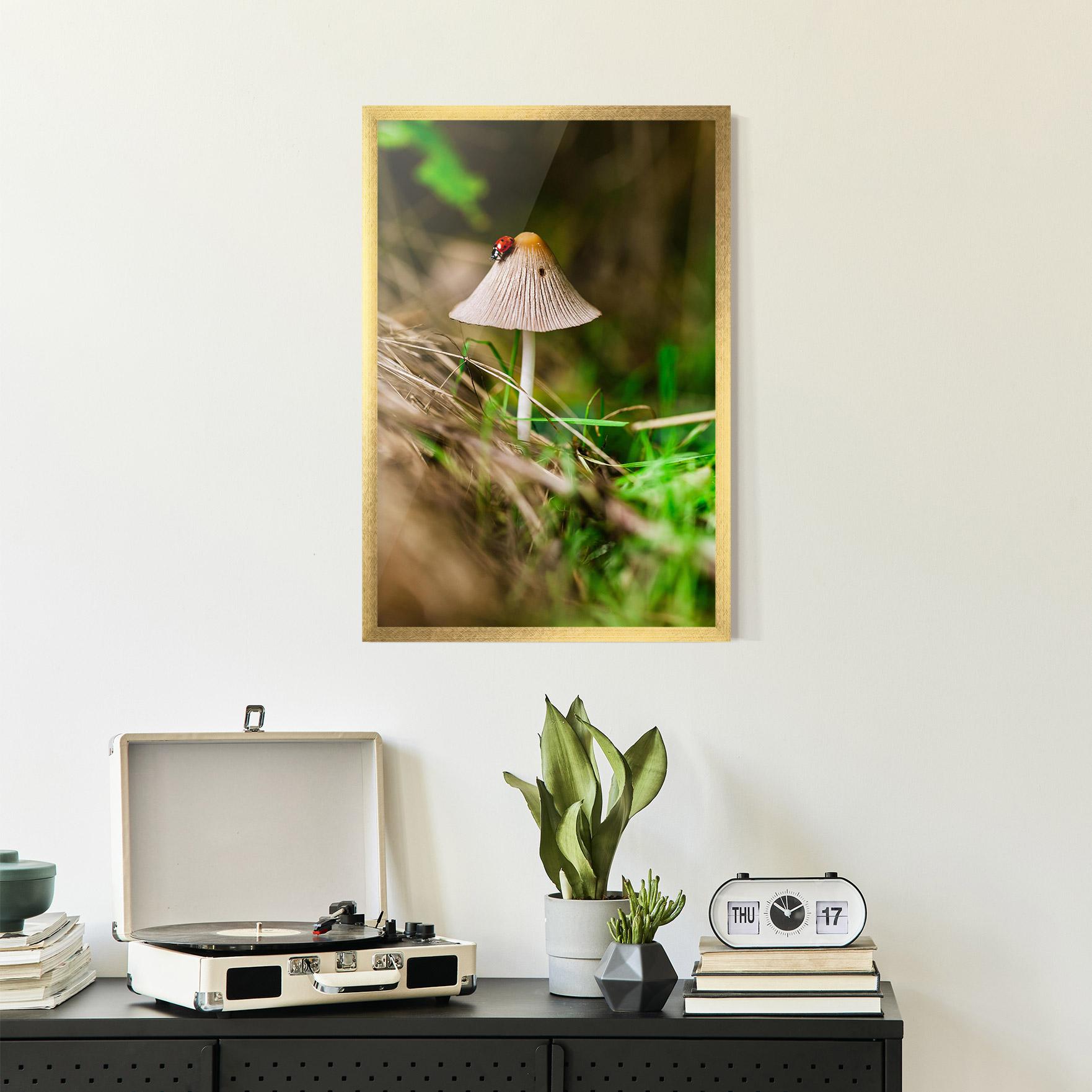 Gerahmte Poster Mushroom Forest mockup 2