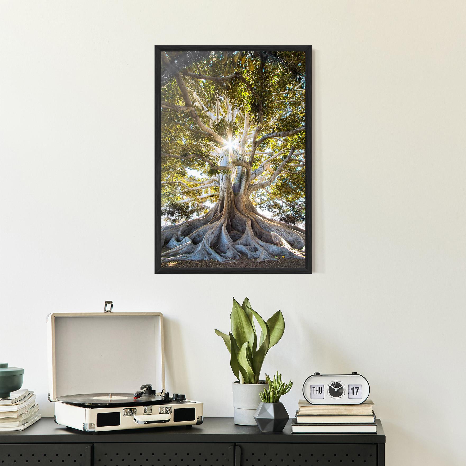 Gerahmte Poster Big Old Tree mockup 2