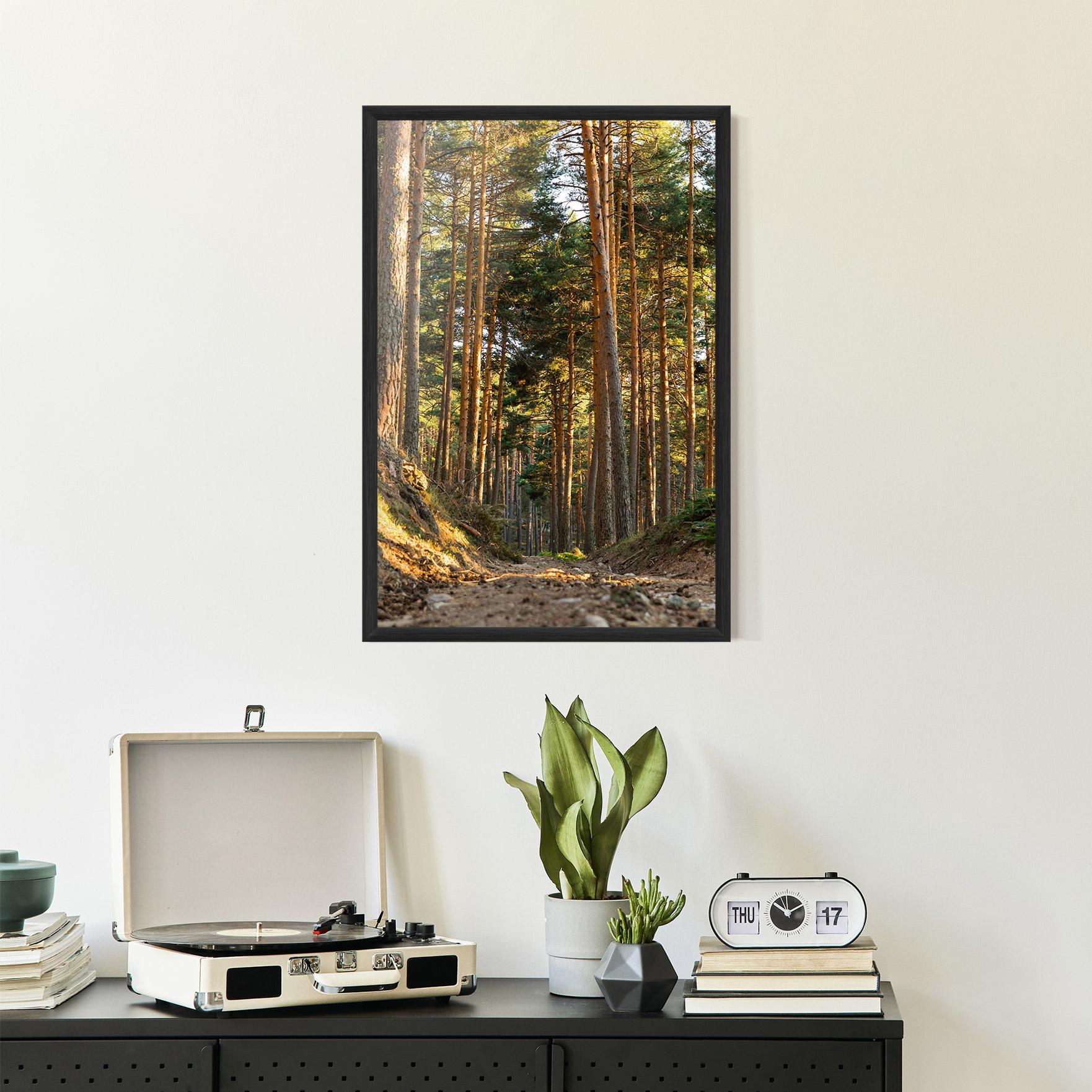 Gerahmte Poster Big Trees Forest mockup 2