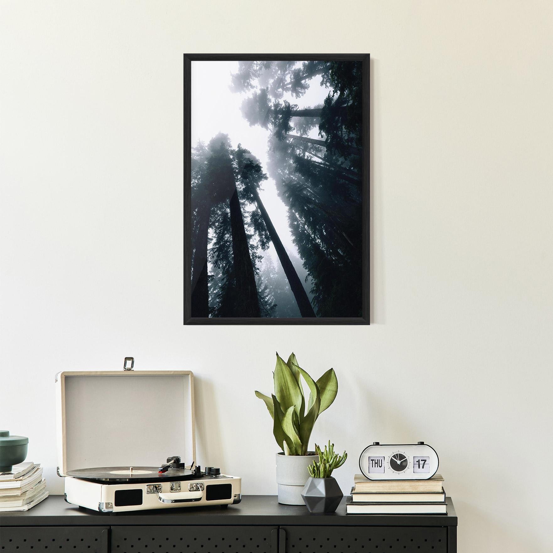Gerahmte Poster Foggy Big Trees mockup 2