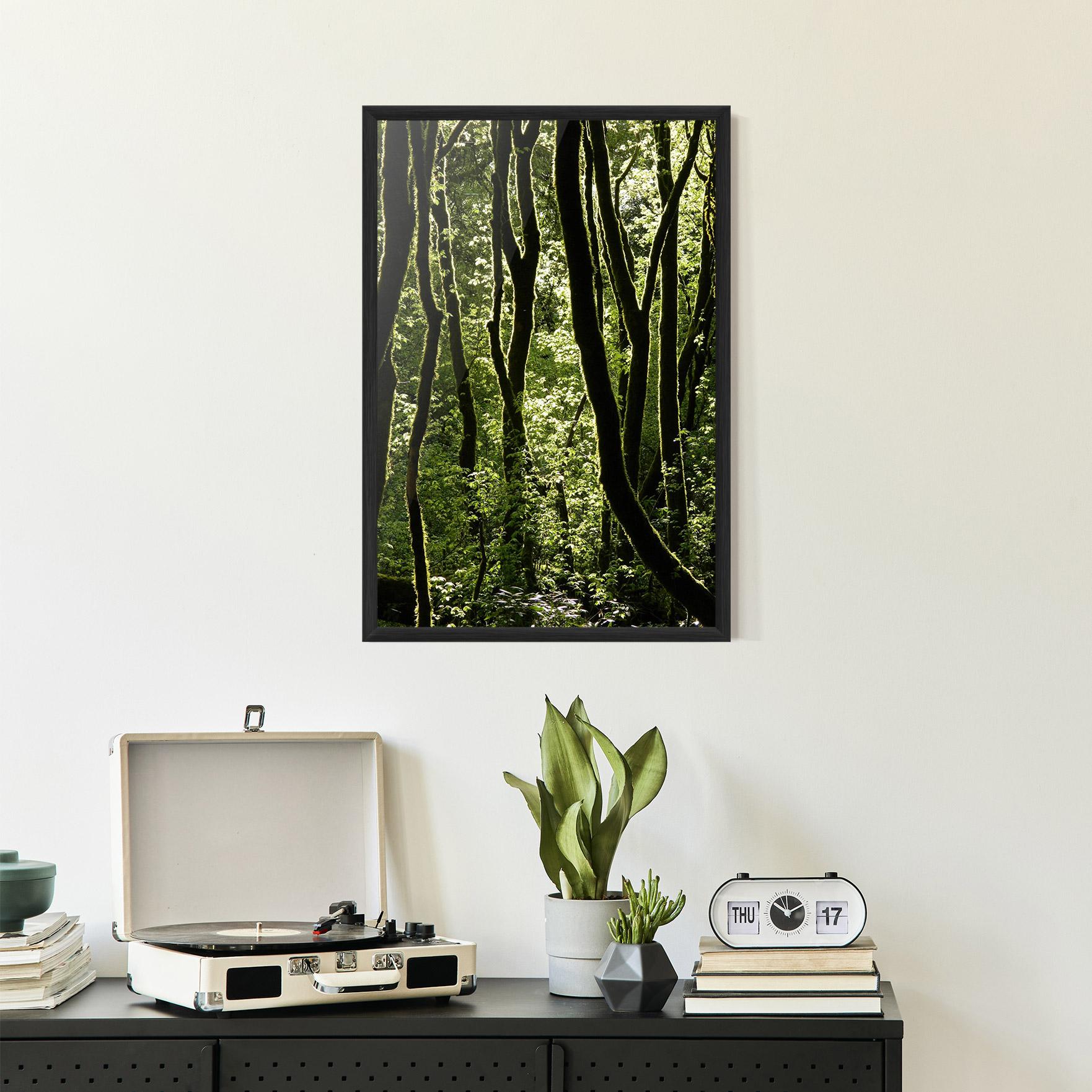Gerahmte Poster Forest Black Trees mockup 2