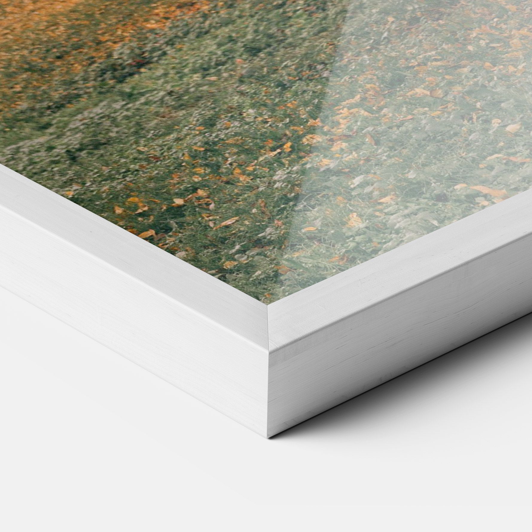 Autumn Forest mockup 3