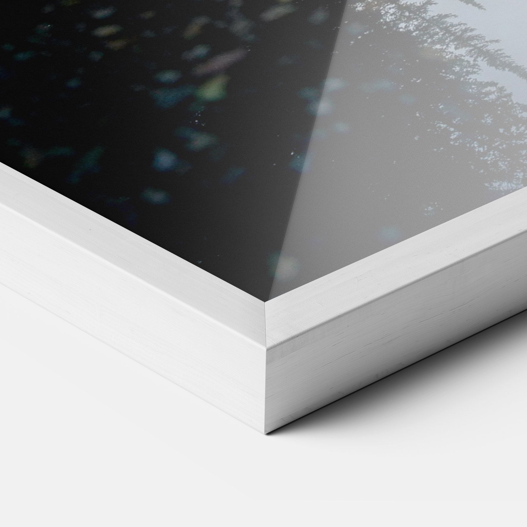 Big Lake Forest mockup 3