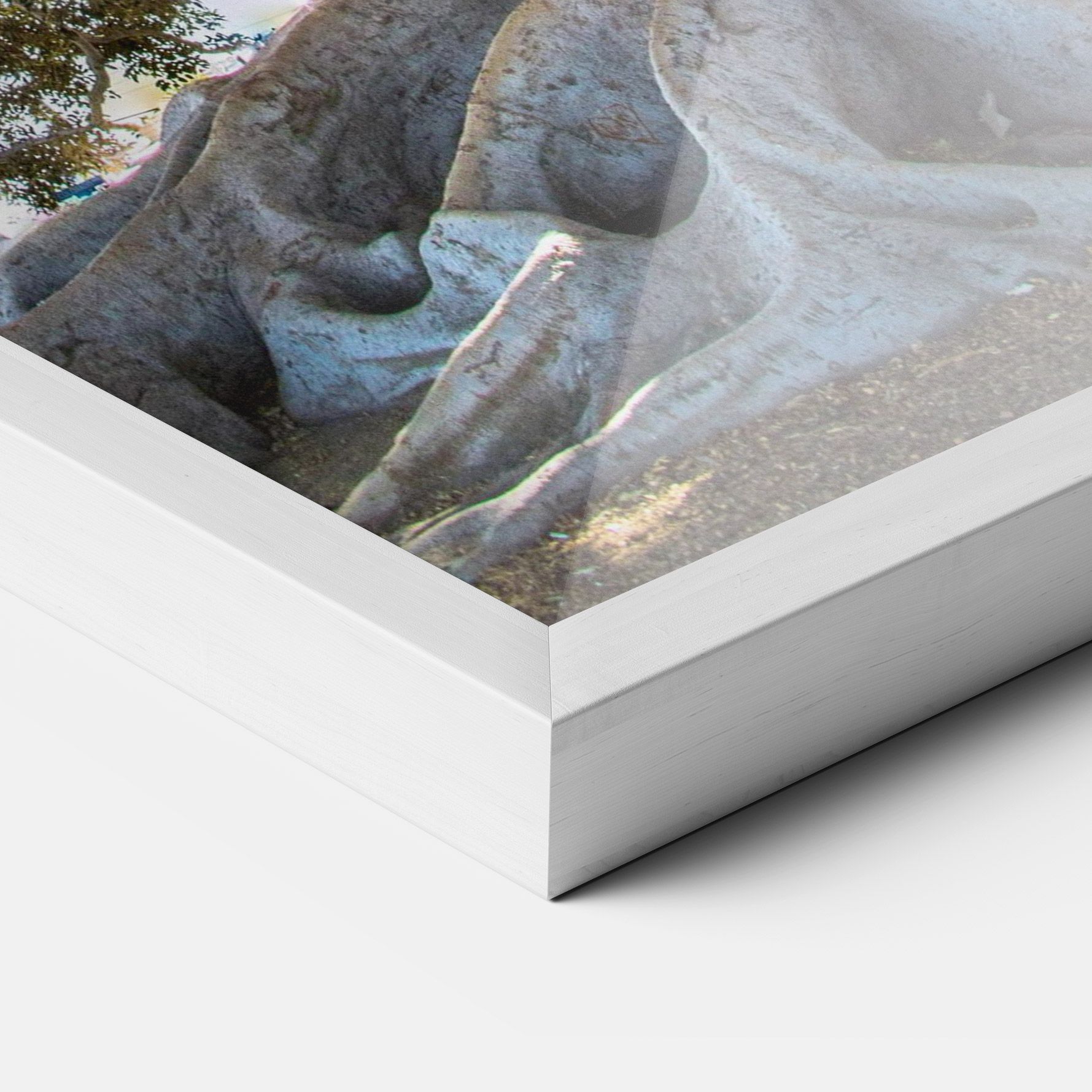 Big Old Tree mockup 3