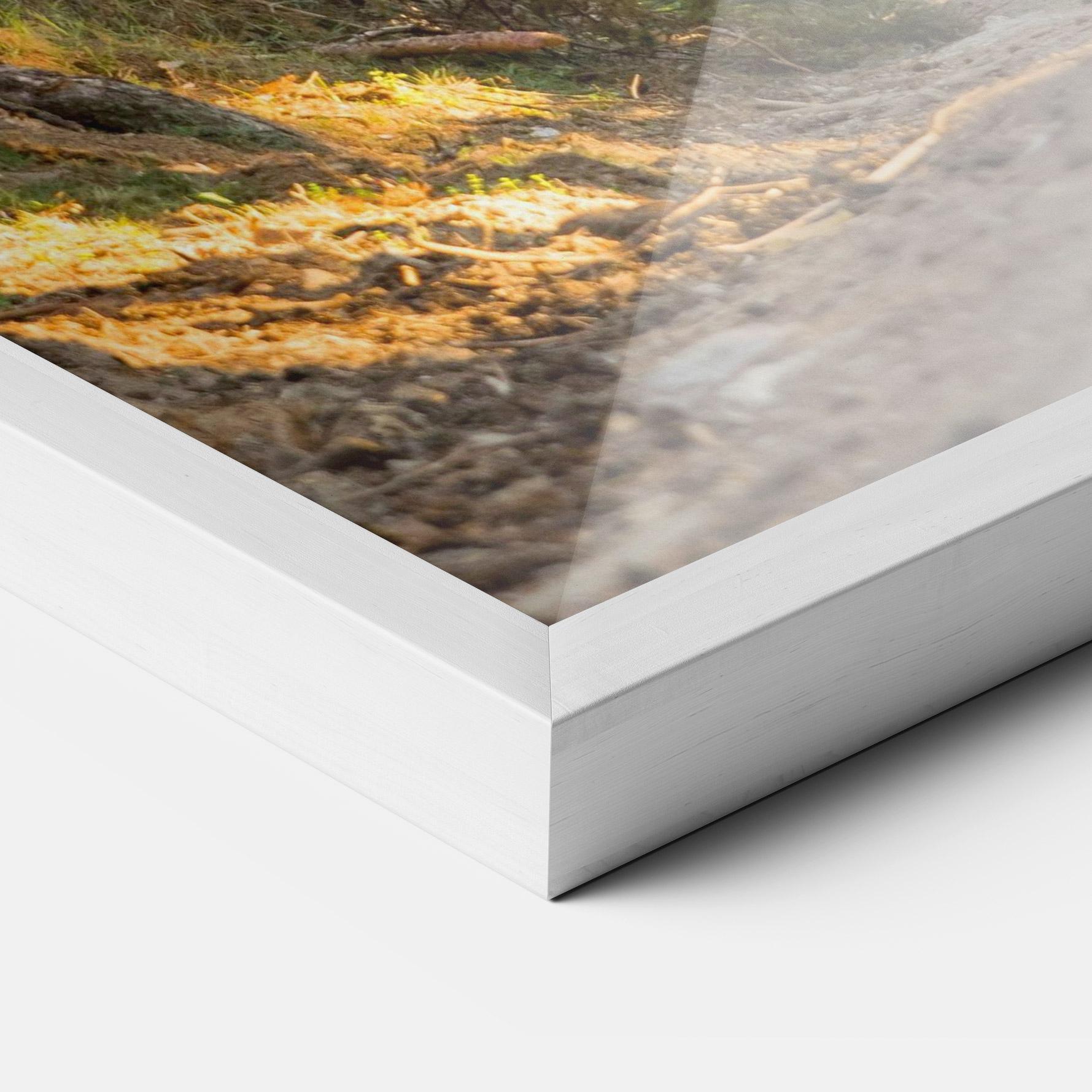 Gerahmte Poster Big Trees Forest mockup 3