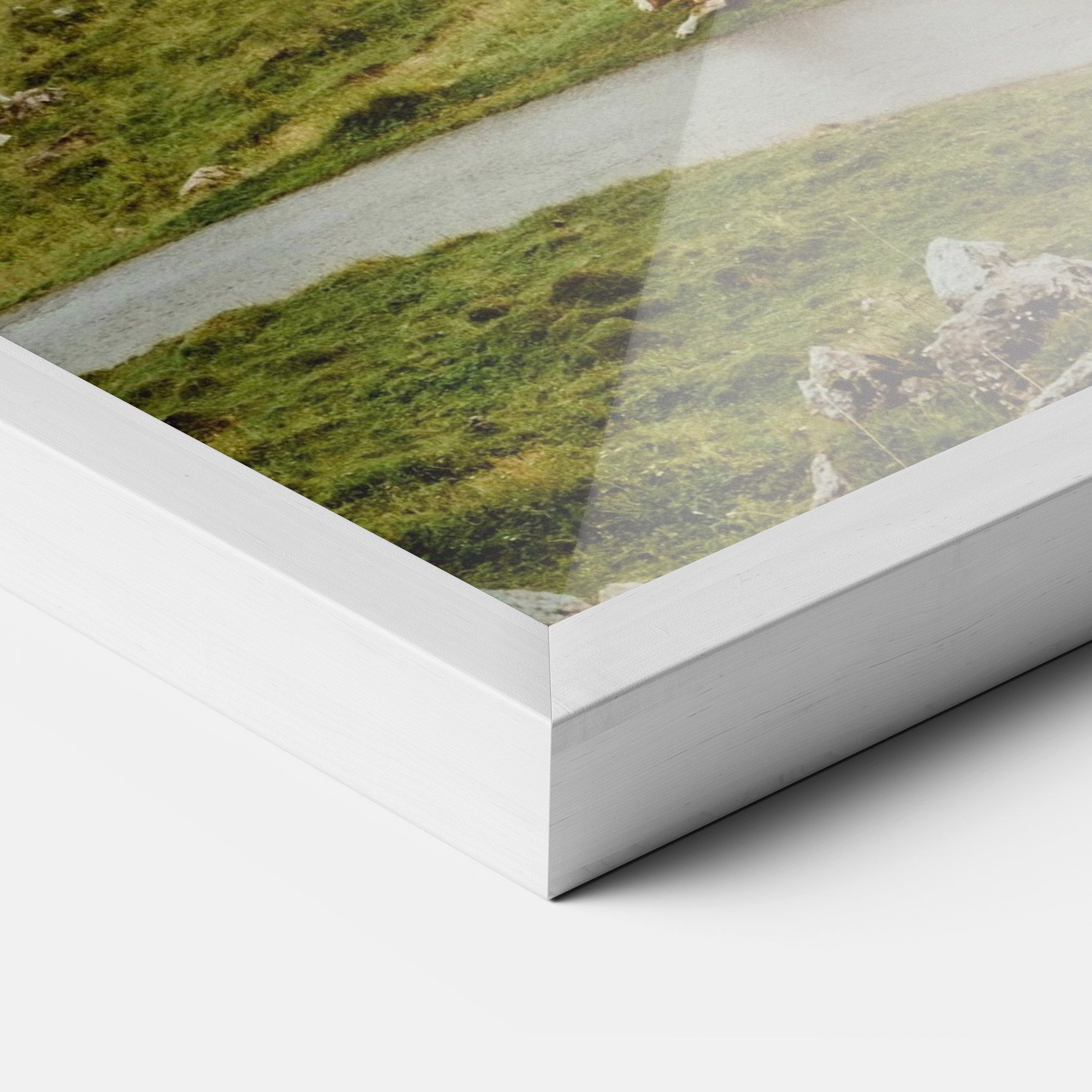 Cow Field View mockup 3