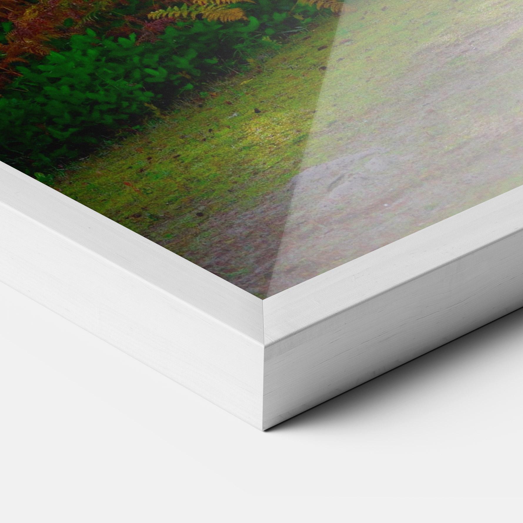 Gerahmte Poster Forest Light mockup 3