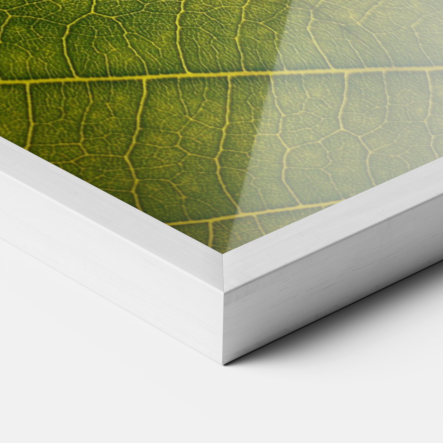 Leaf Closeup Forest mockup 3