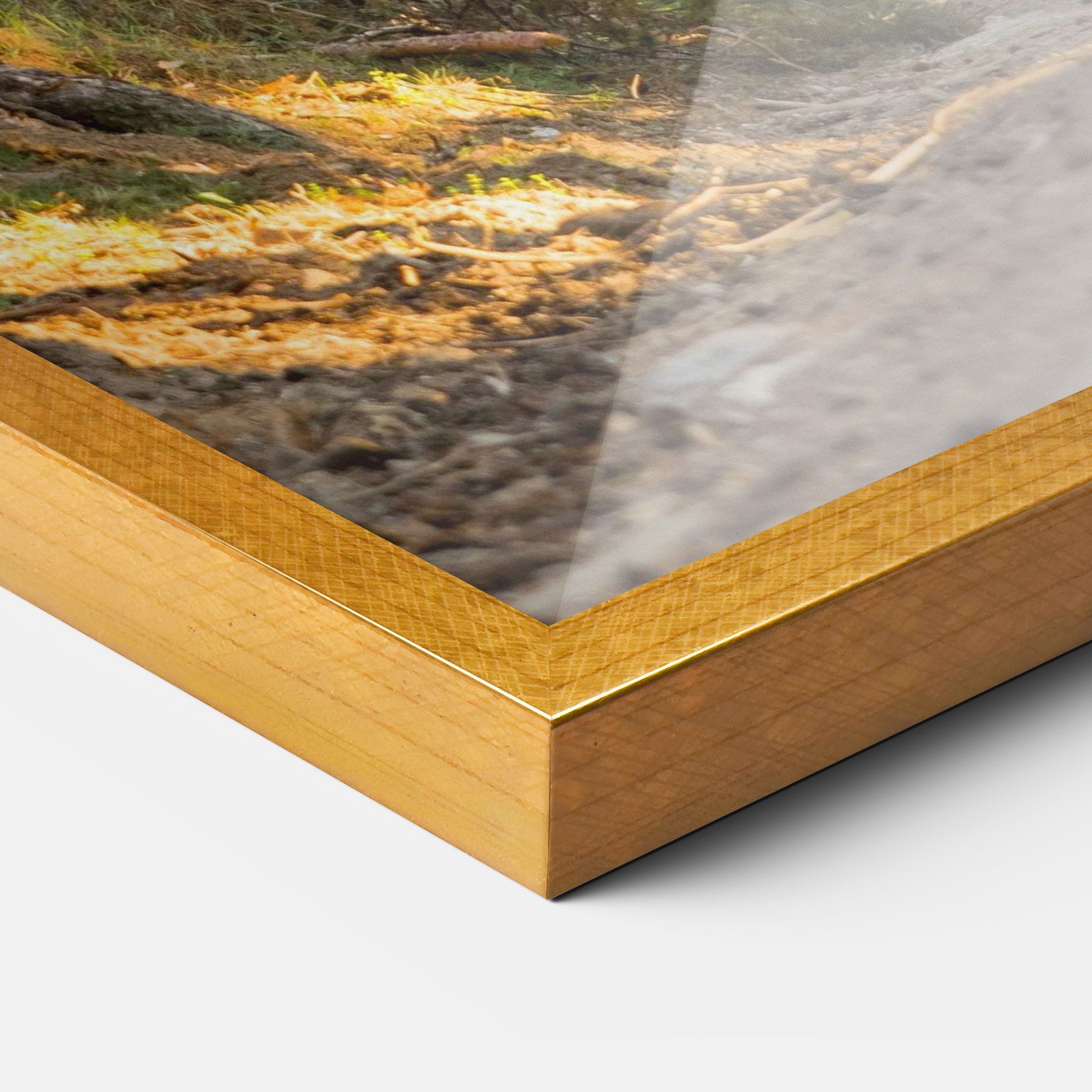 Big Trees Forest mockup 3