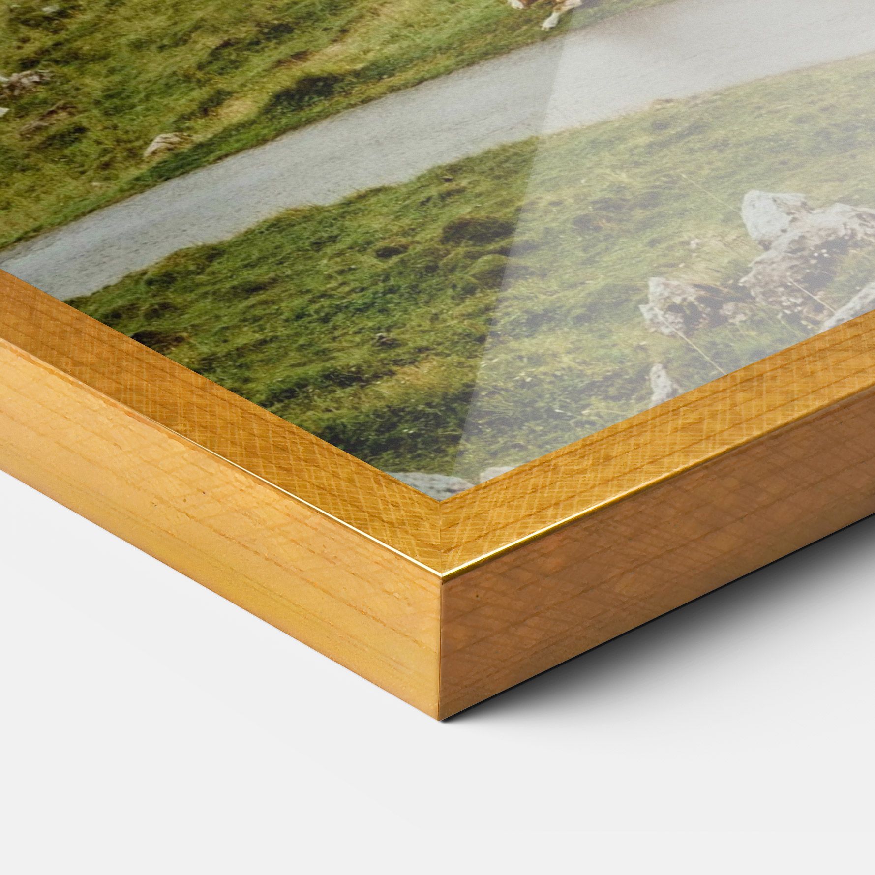 Cow Field View mockup 3