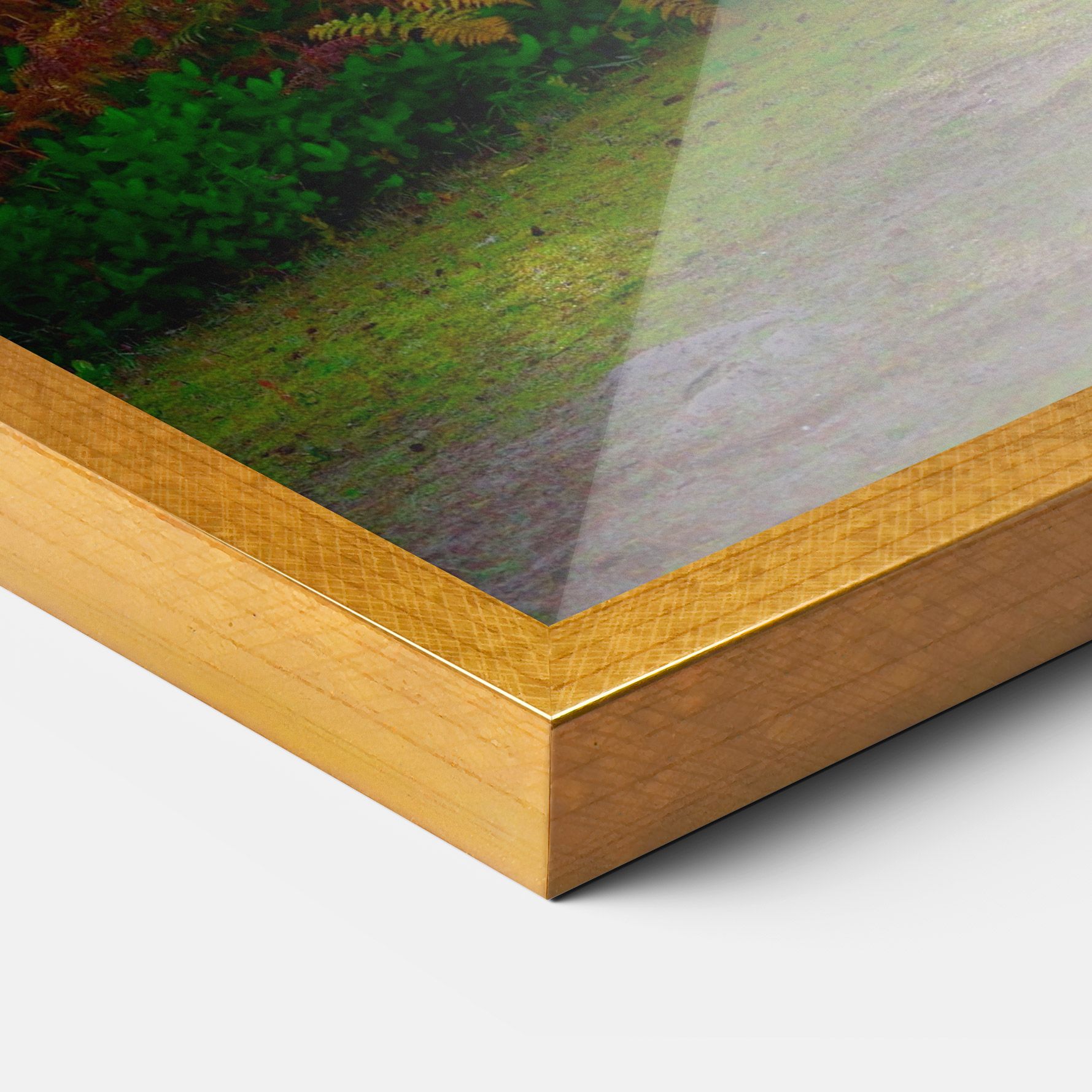 Forest Light mockup 3