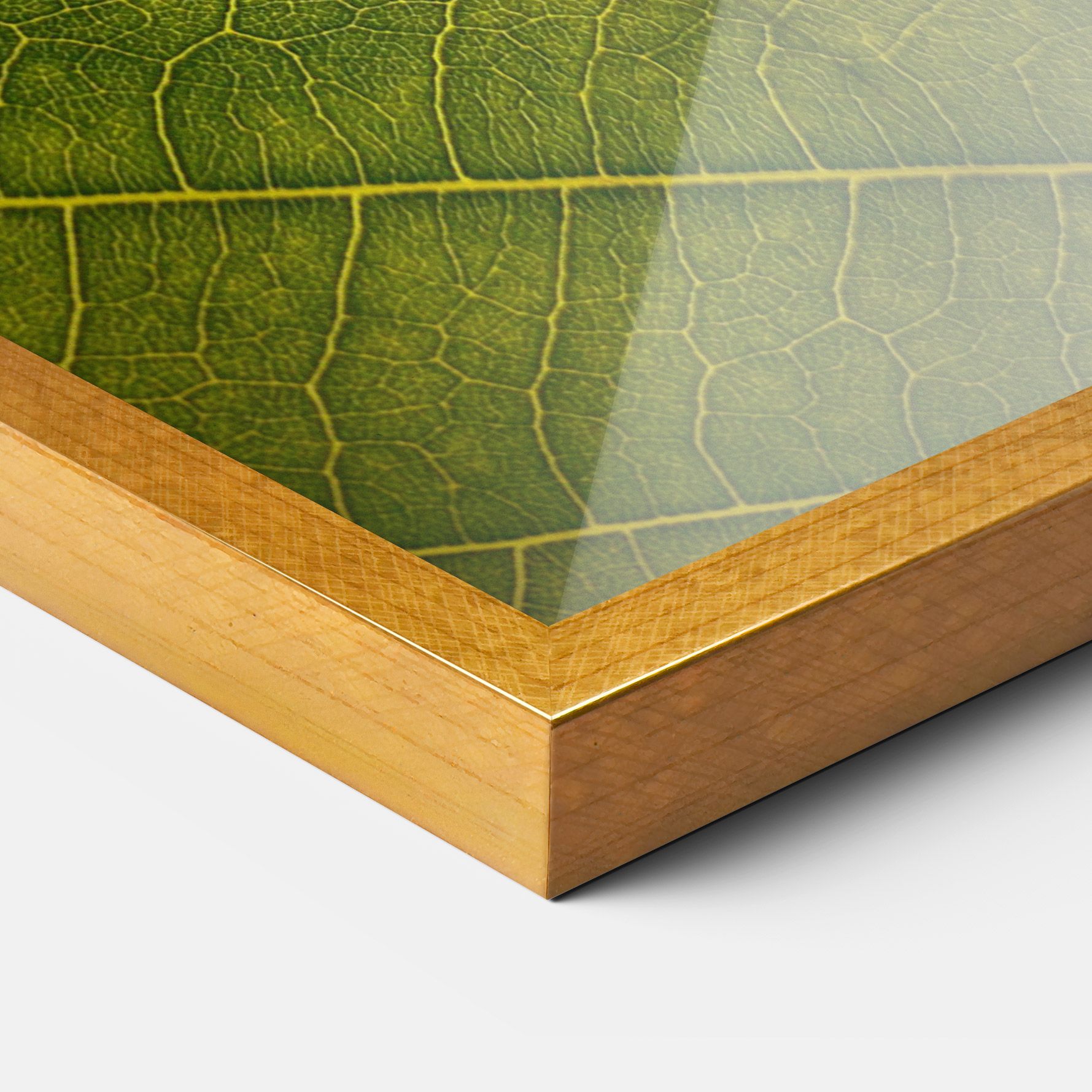 Leaf Closeup Forest mockup 3