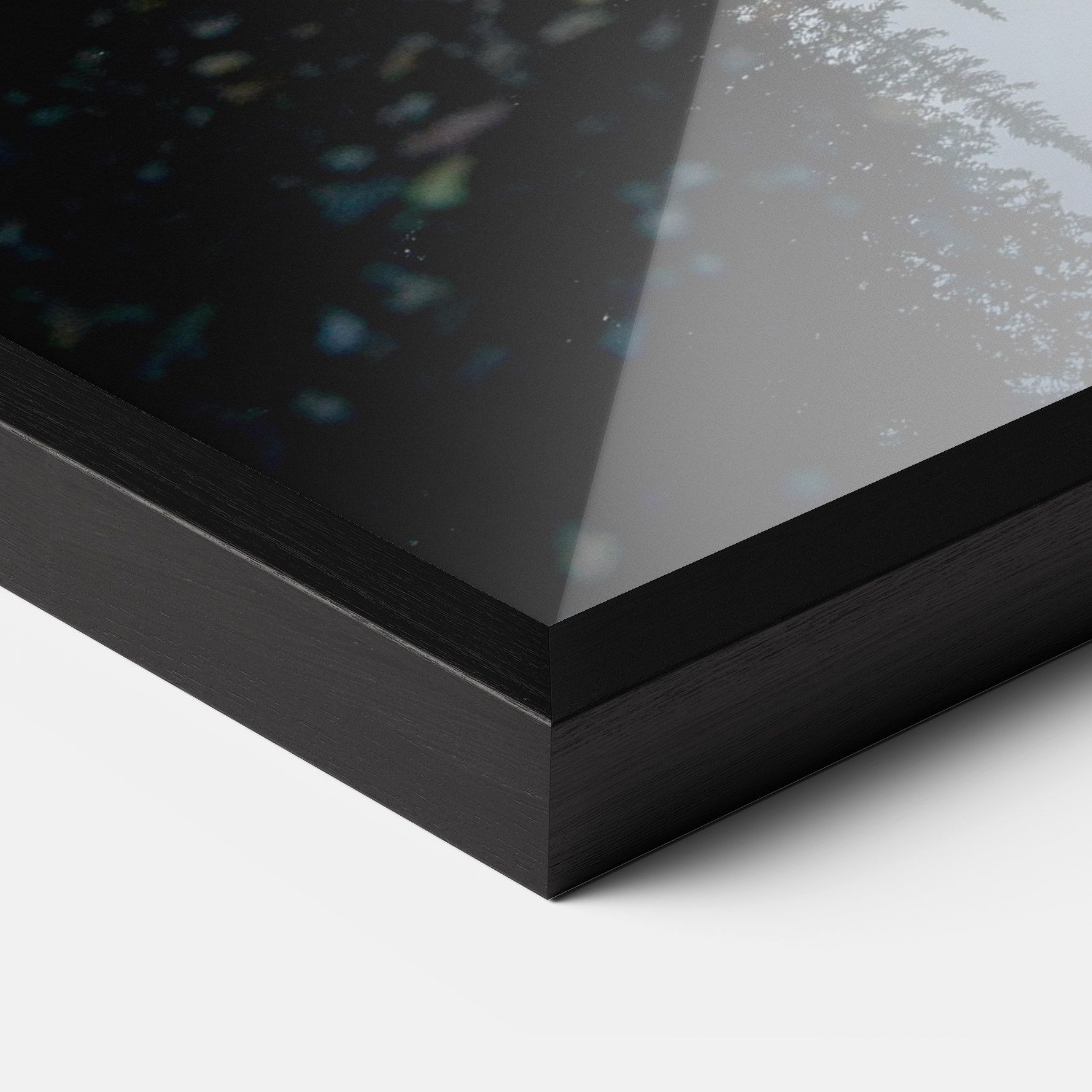 Big Lake Forest mockup 3