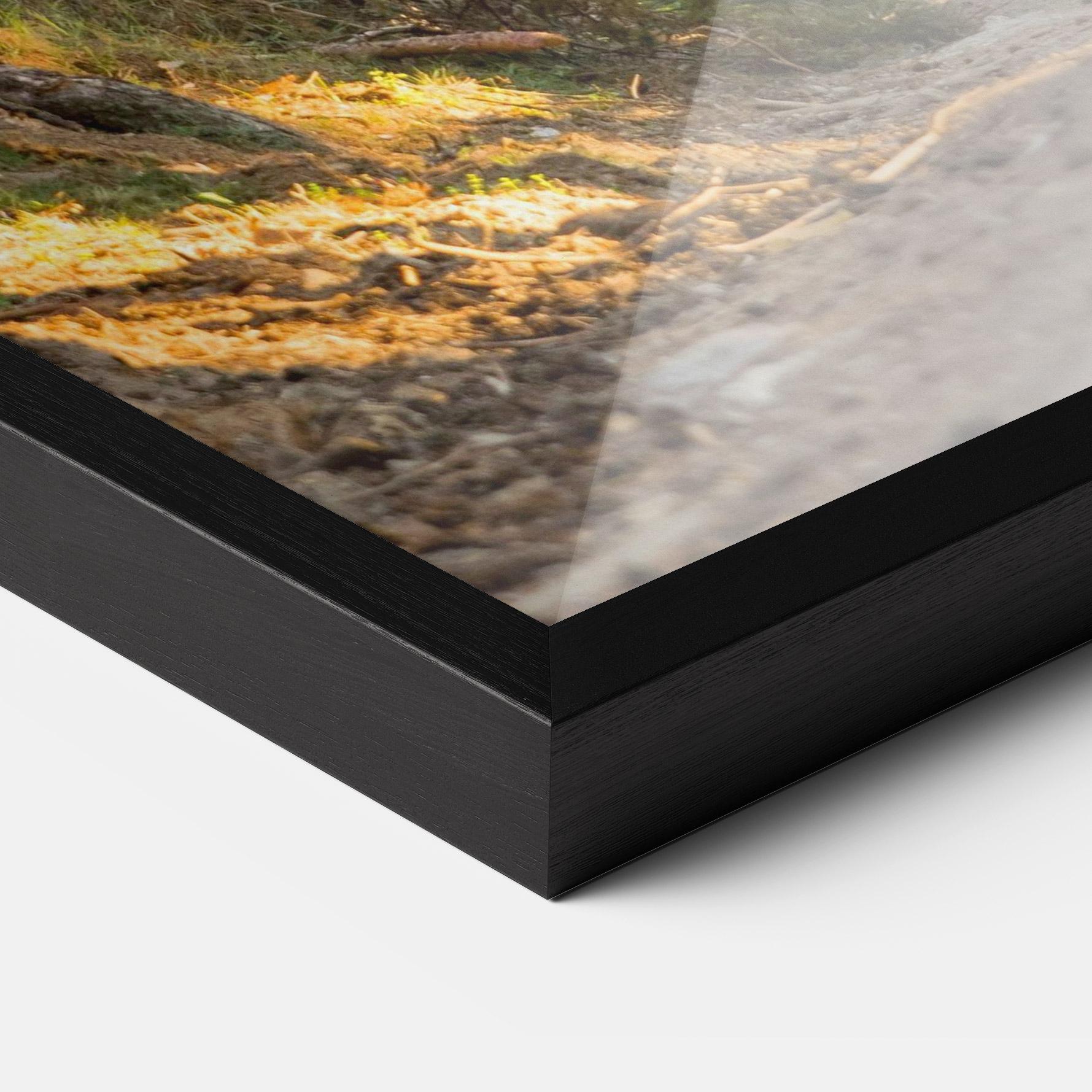 Gerahmte Poster Big Trees Forest mockup 3