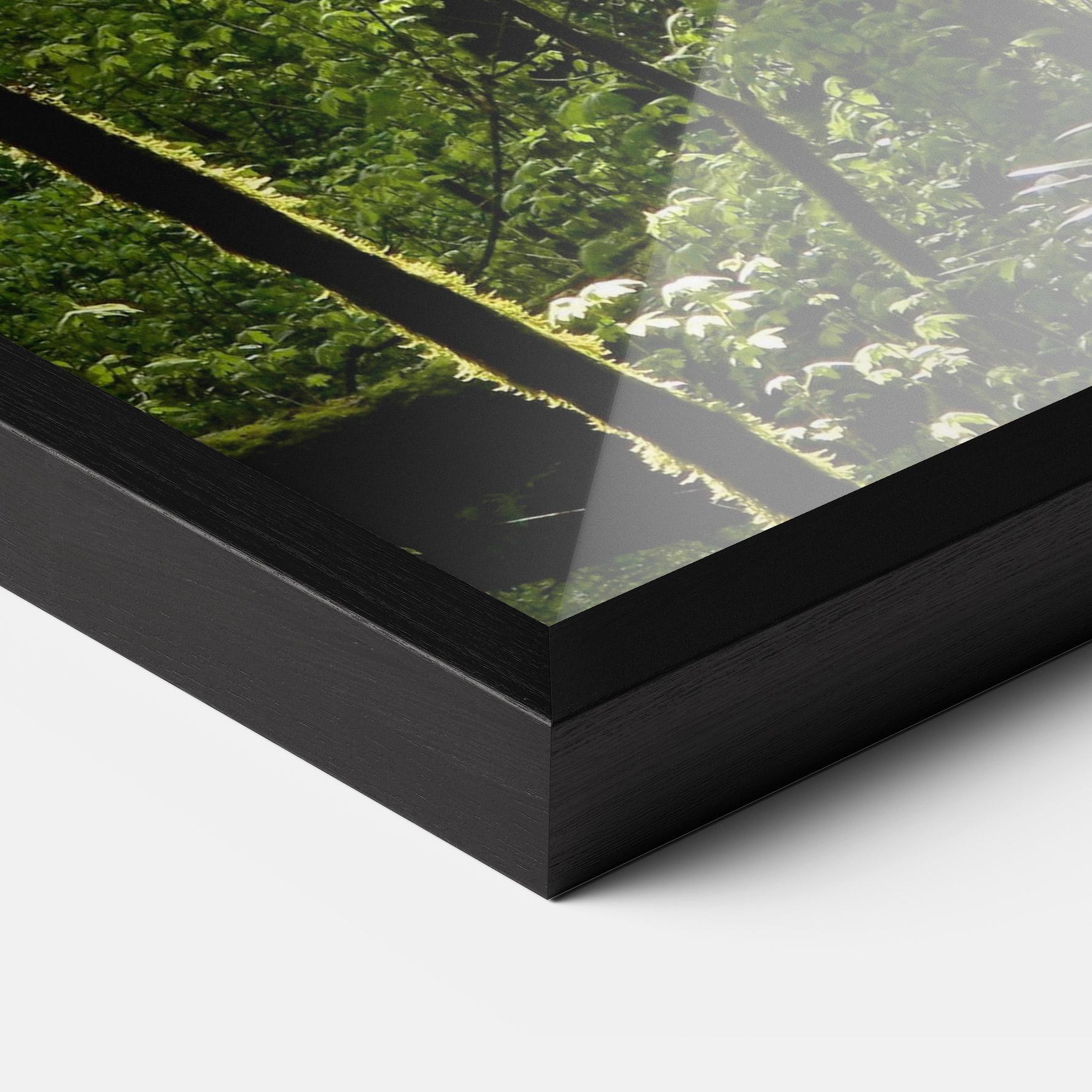Gerahmte Poster Forest Black Trees mockup 3