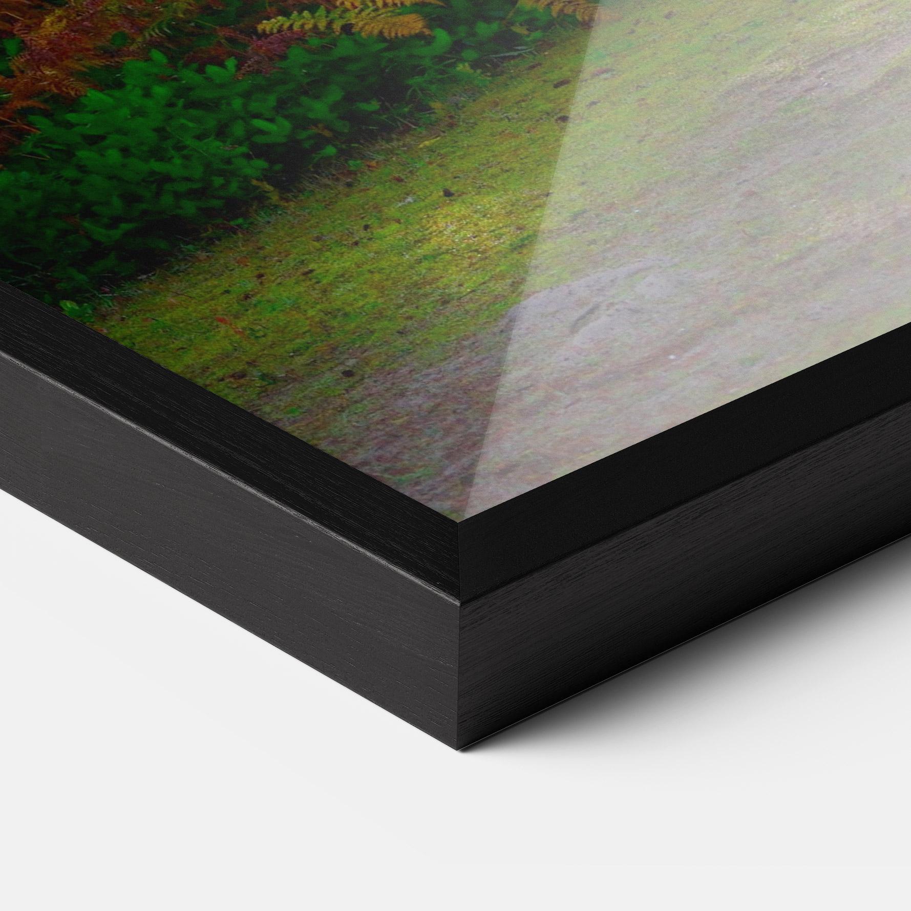 Gerahmte Poster Forest Light mockup 3