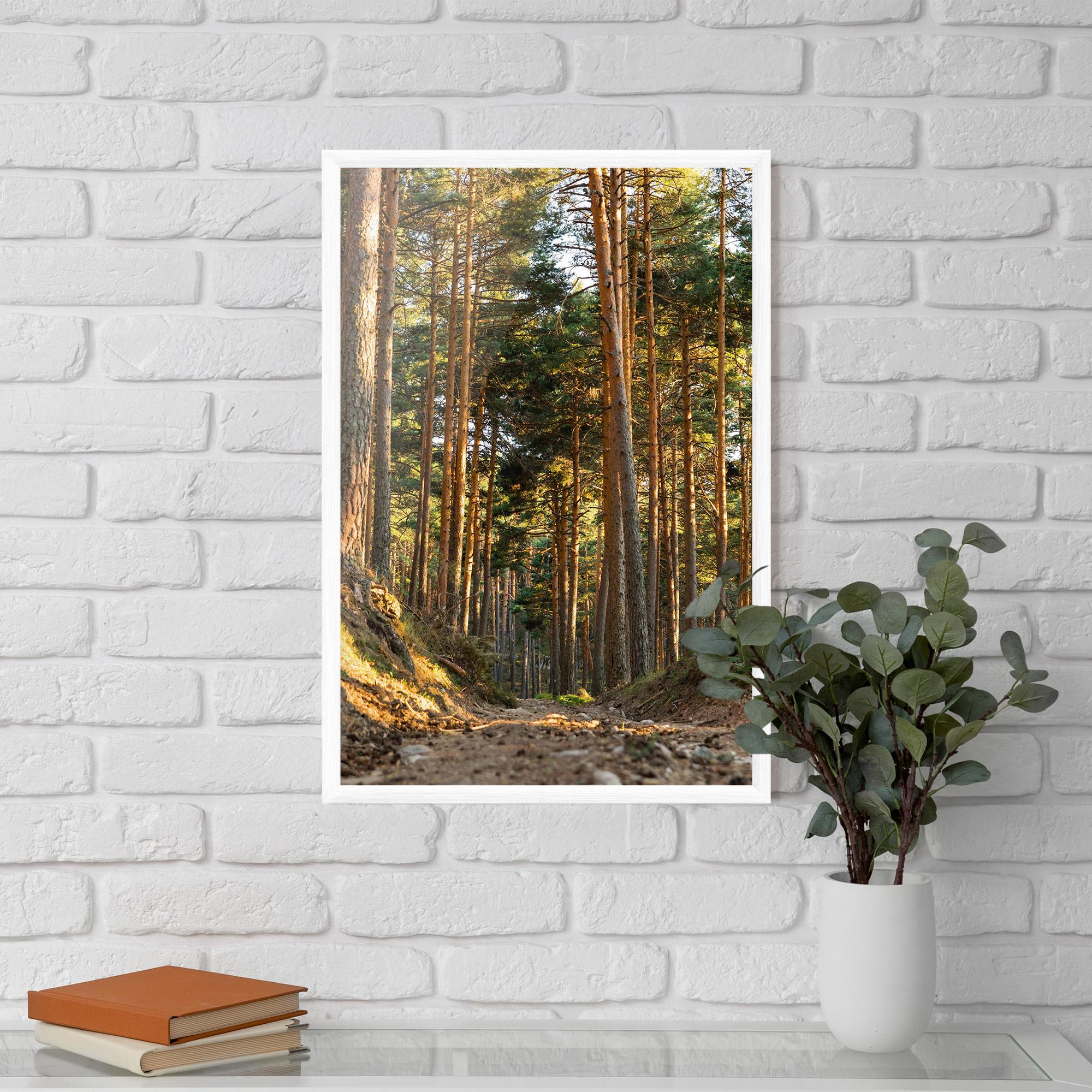 Gerahmte Poster Big Trees Forest mockup 5