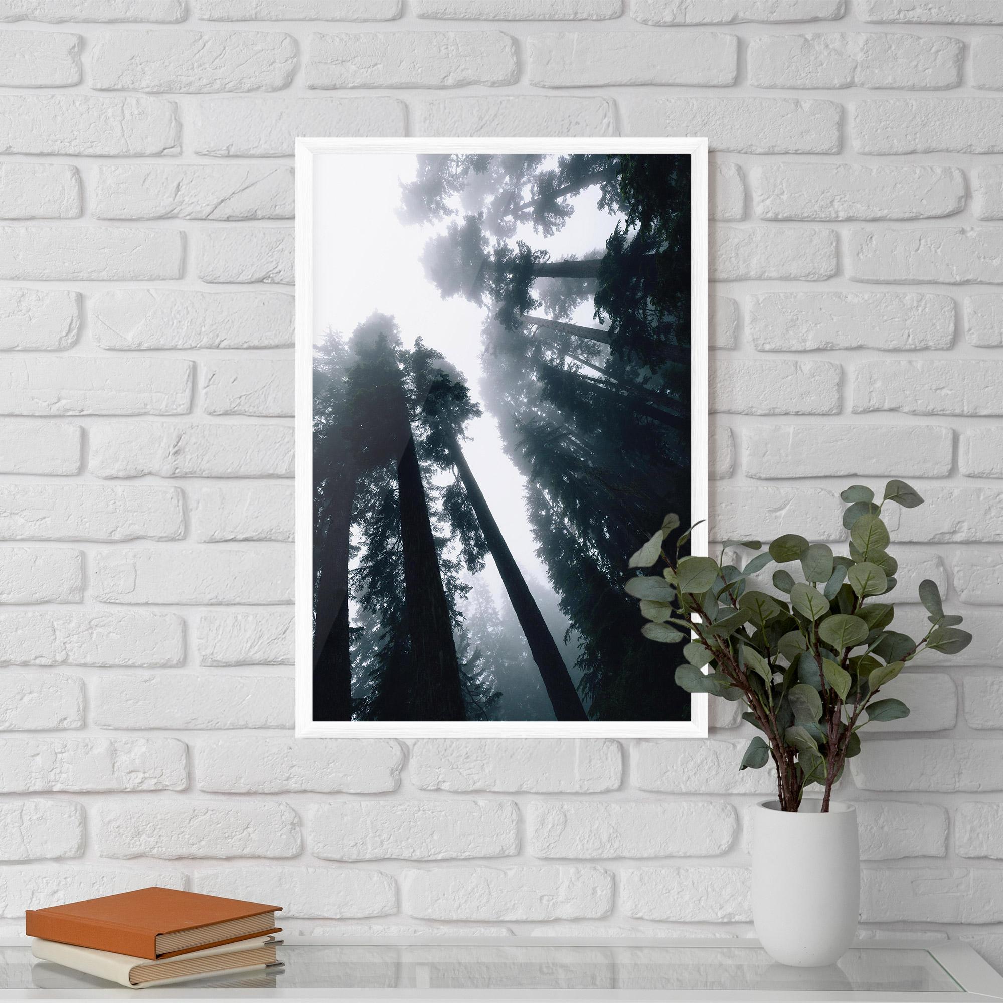 Gerahmte Poster Foggy Big Trees mockup 5