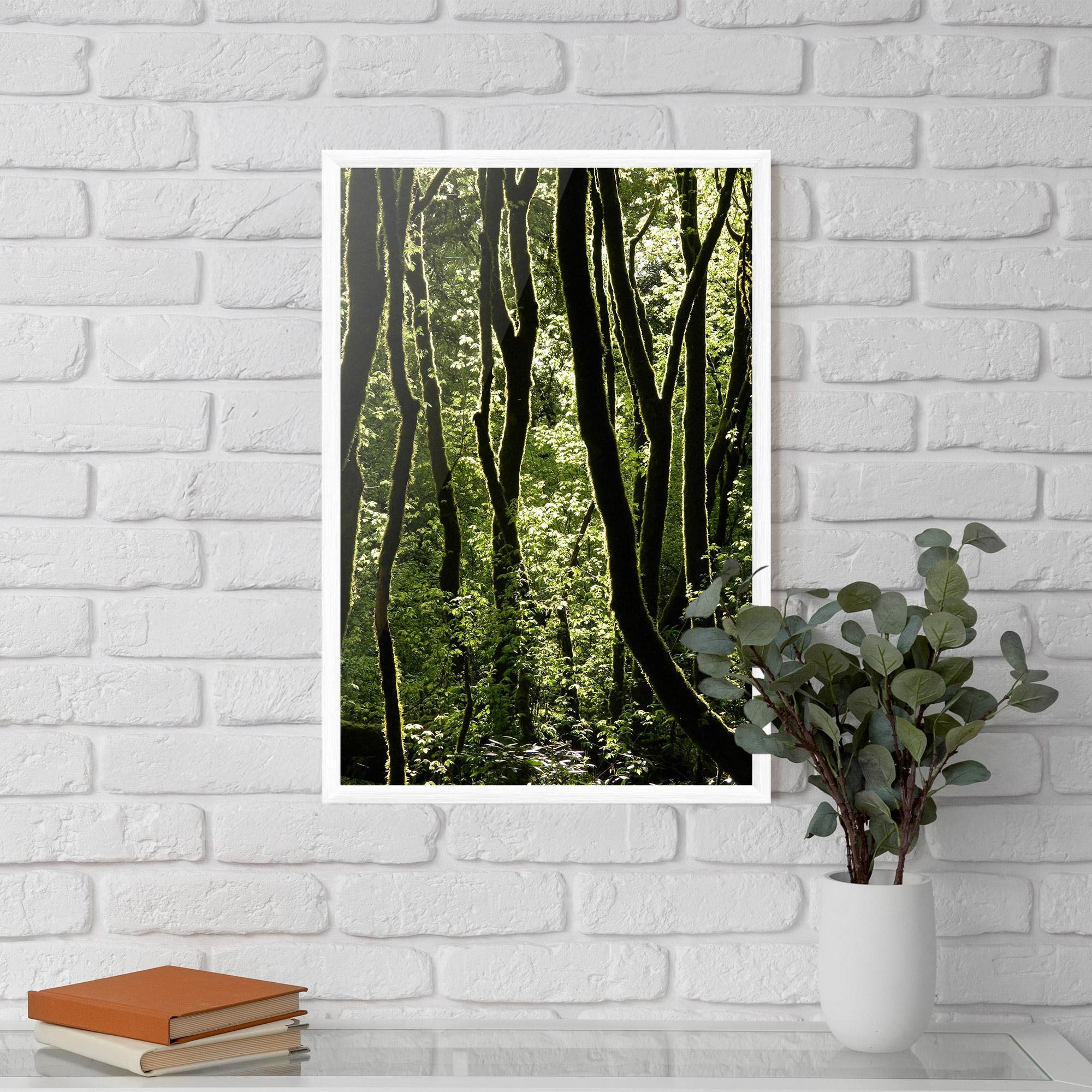 Gerahmte Poster Forest Black Trees mockup 5