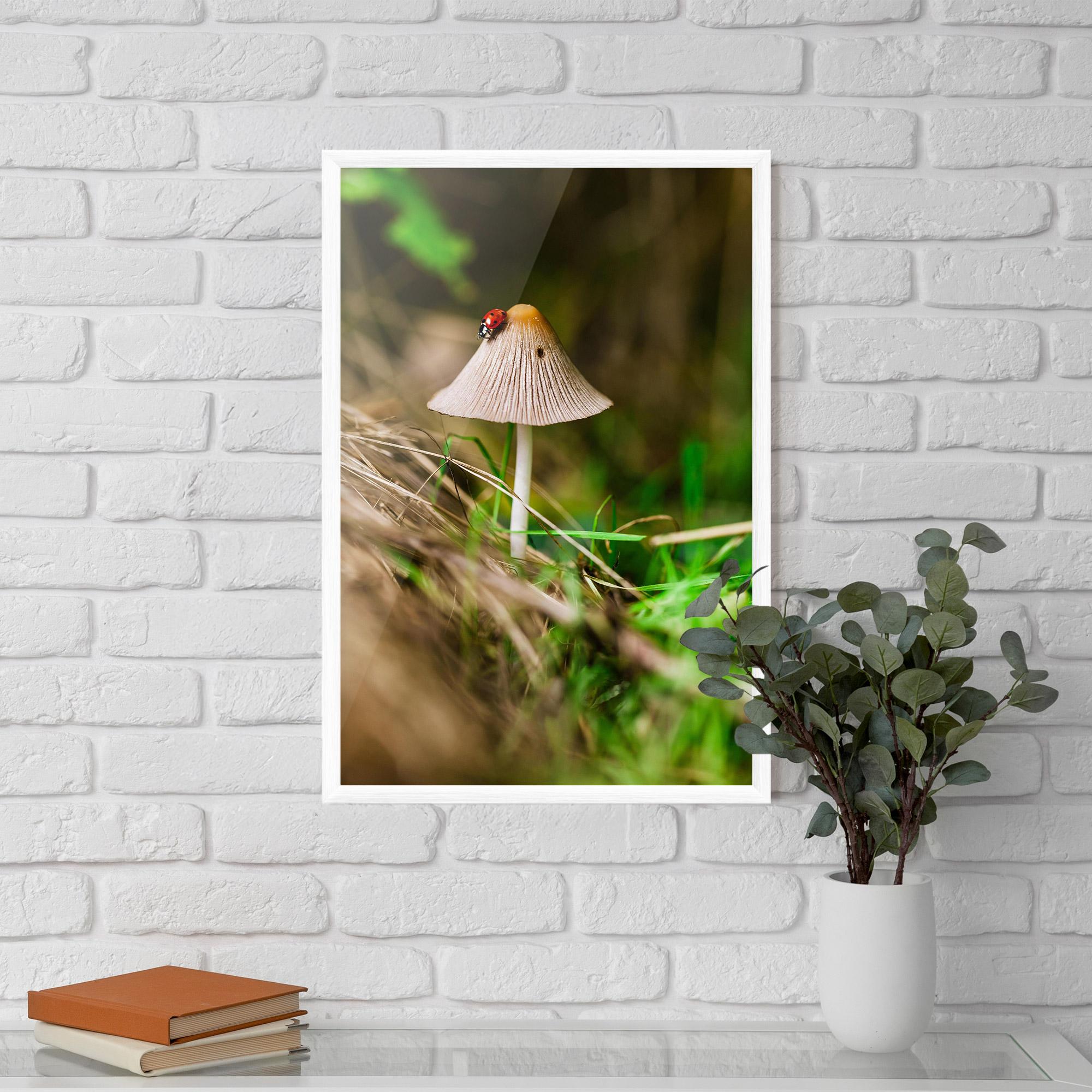 Gerahmte Poster Mushroom Forest mockup 5