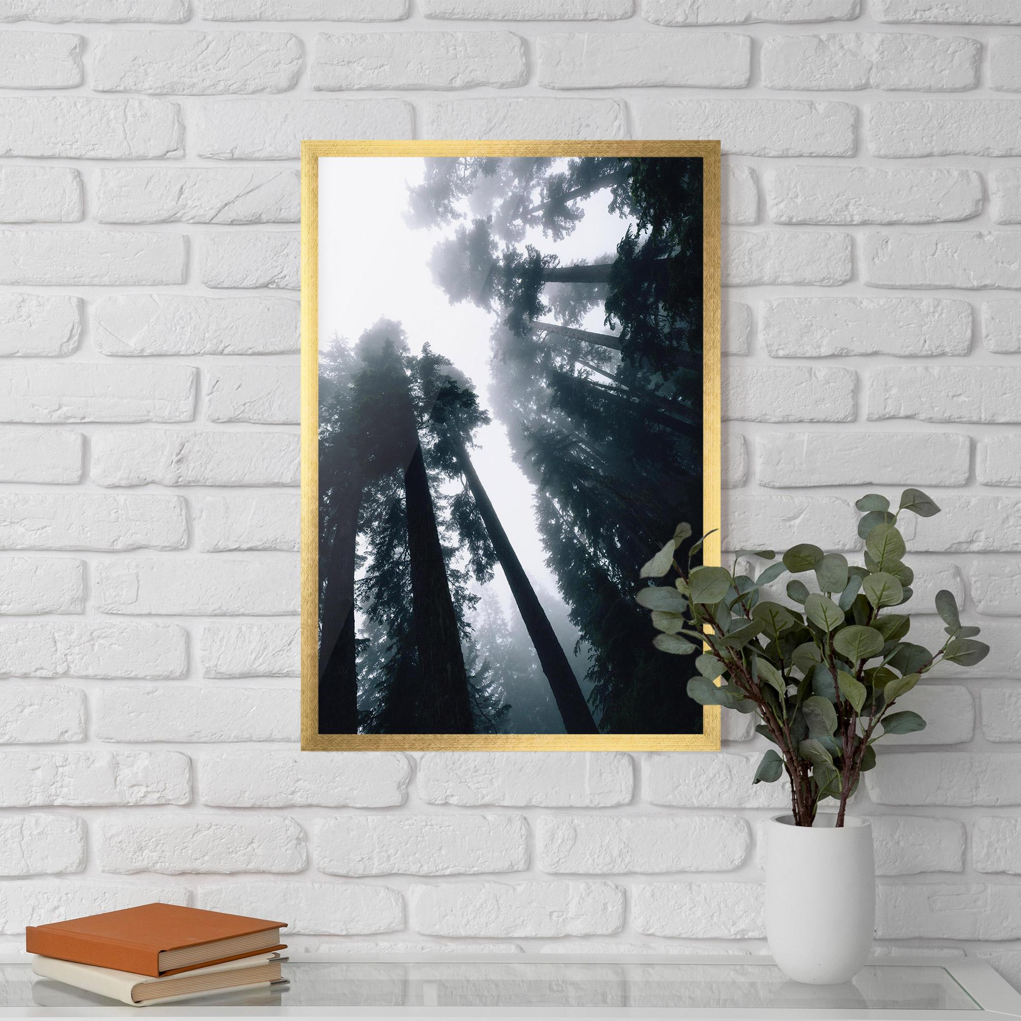Gerahmte Poster Foggy Big Trees mockup 5