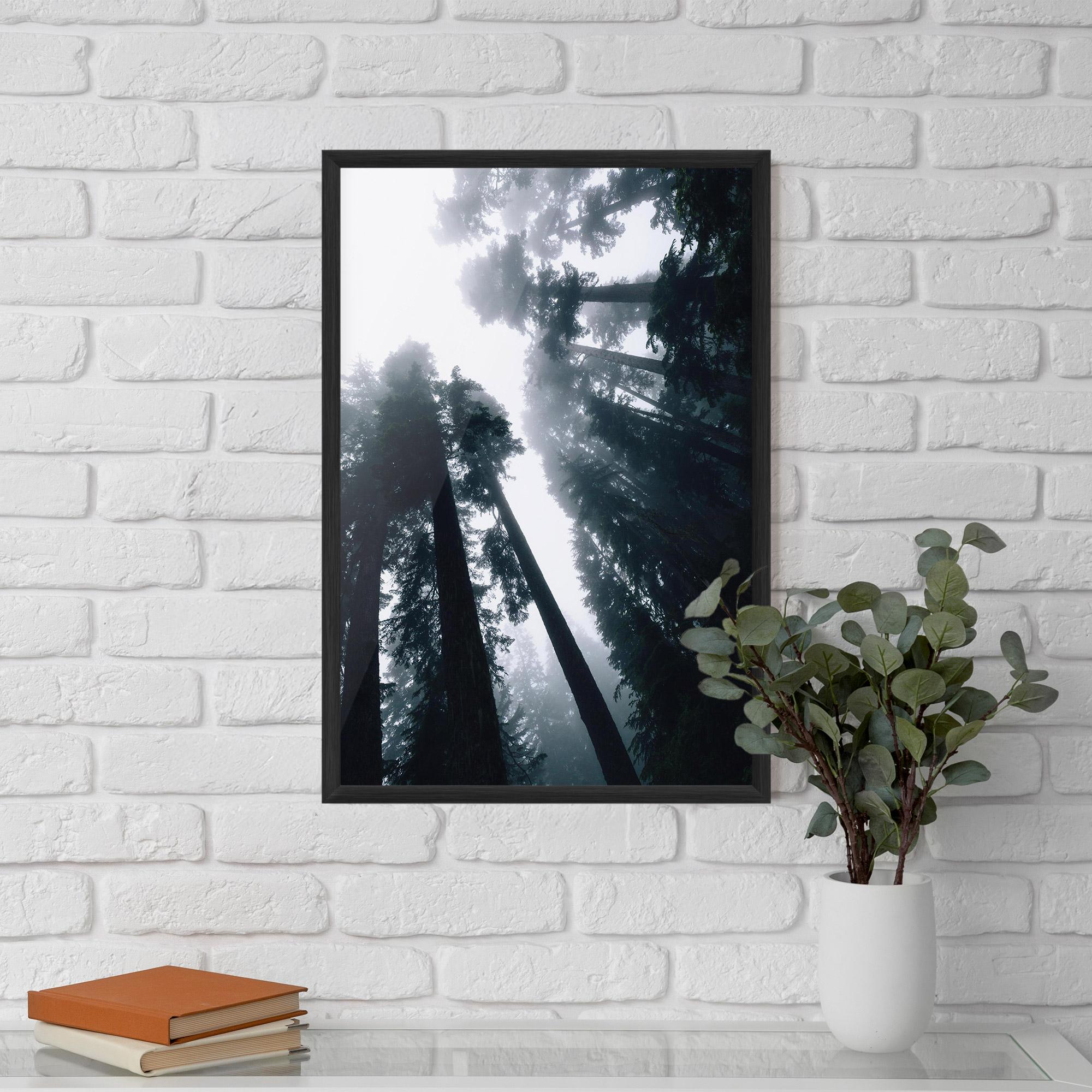 Gerahmte Poster Foggy Big Trees mockup 5
