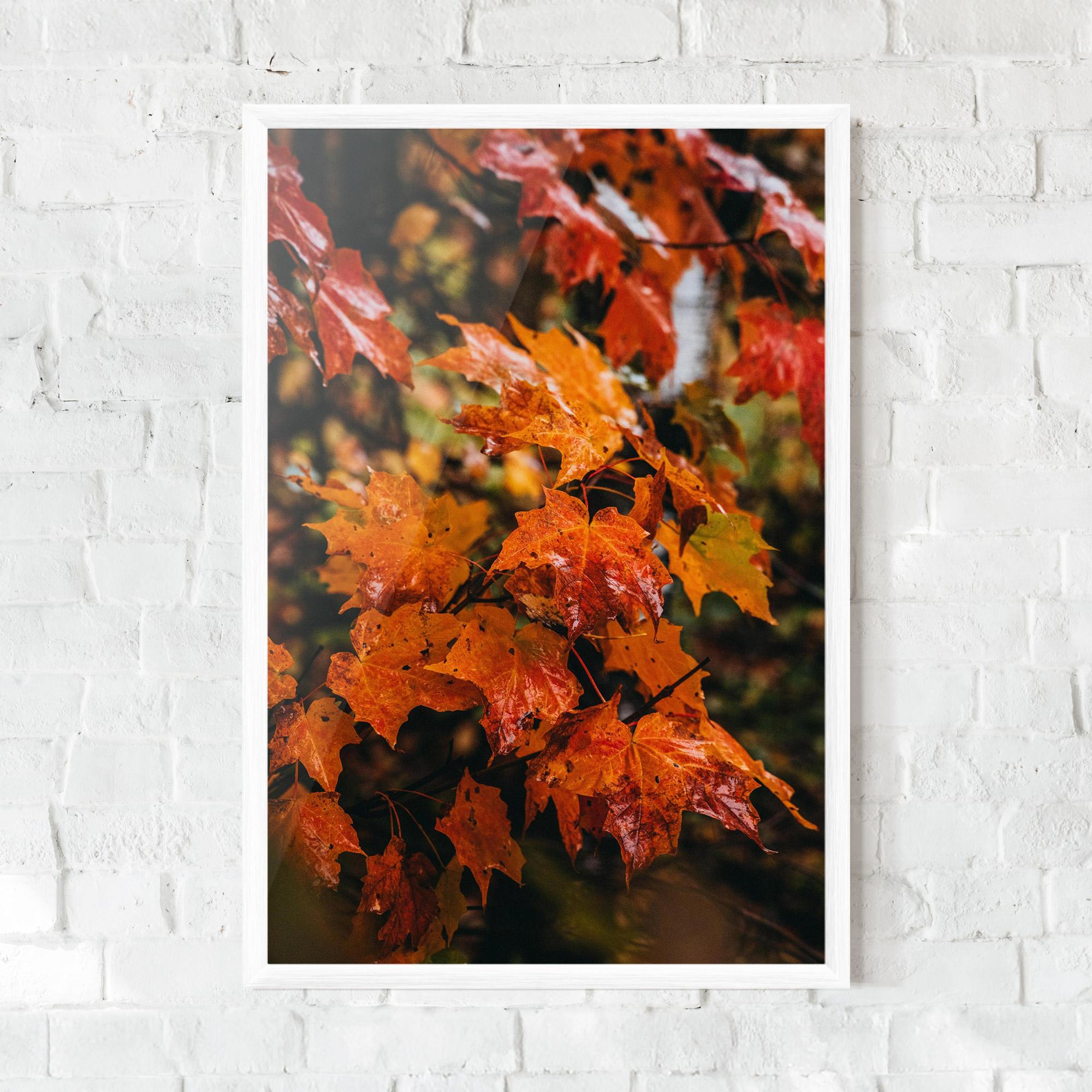Gerahmte Poster Orange Autumn Leaves mockup 0