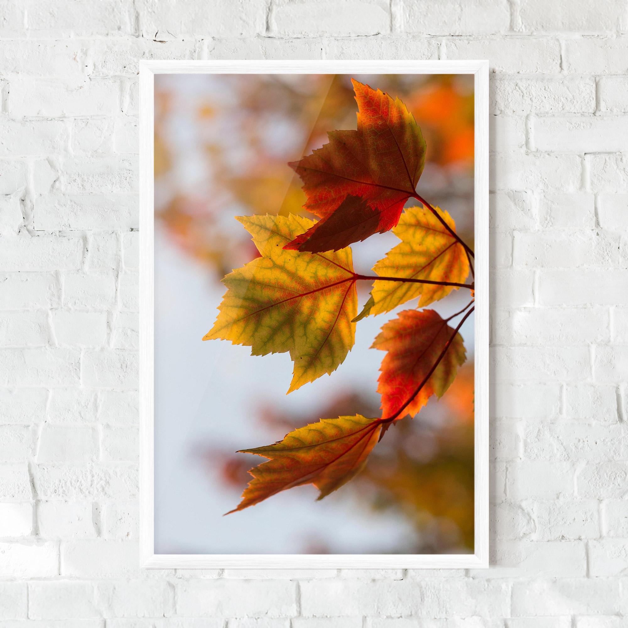 Gerahmte Poster Red Yellow Autumn mockup 0