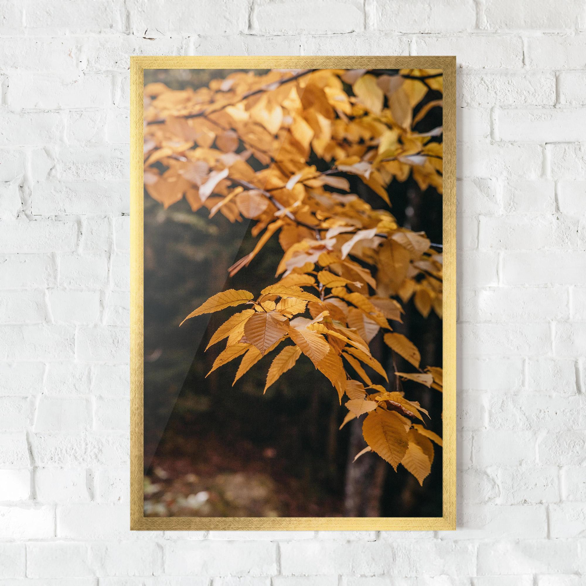 Gerahmte Poster Autumn Nature mockup 0