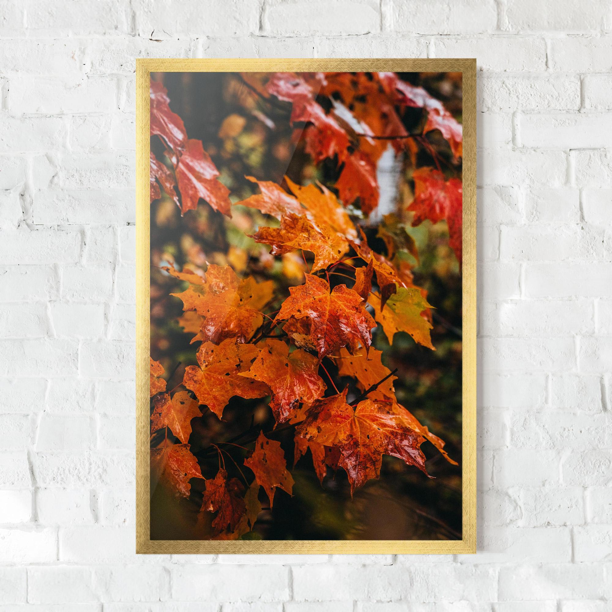 Gerahmte Poster Orange Autumn Leaves mockup 0