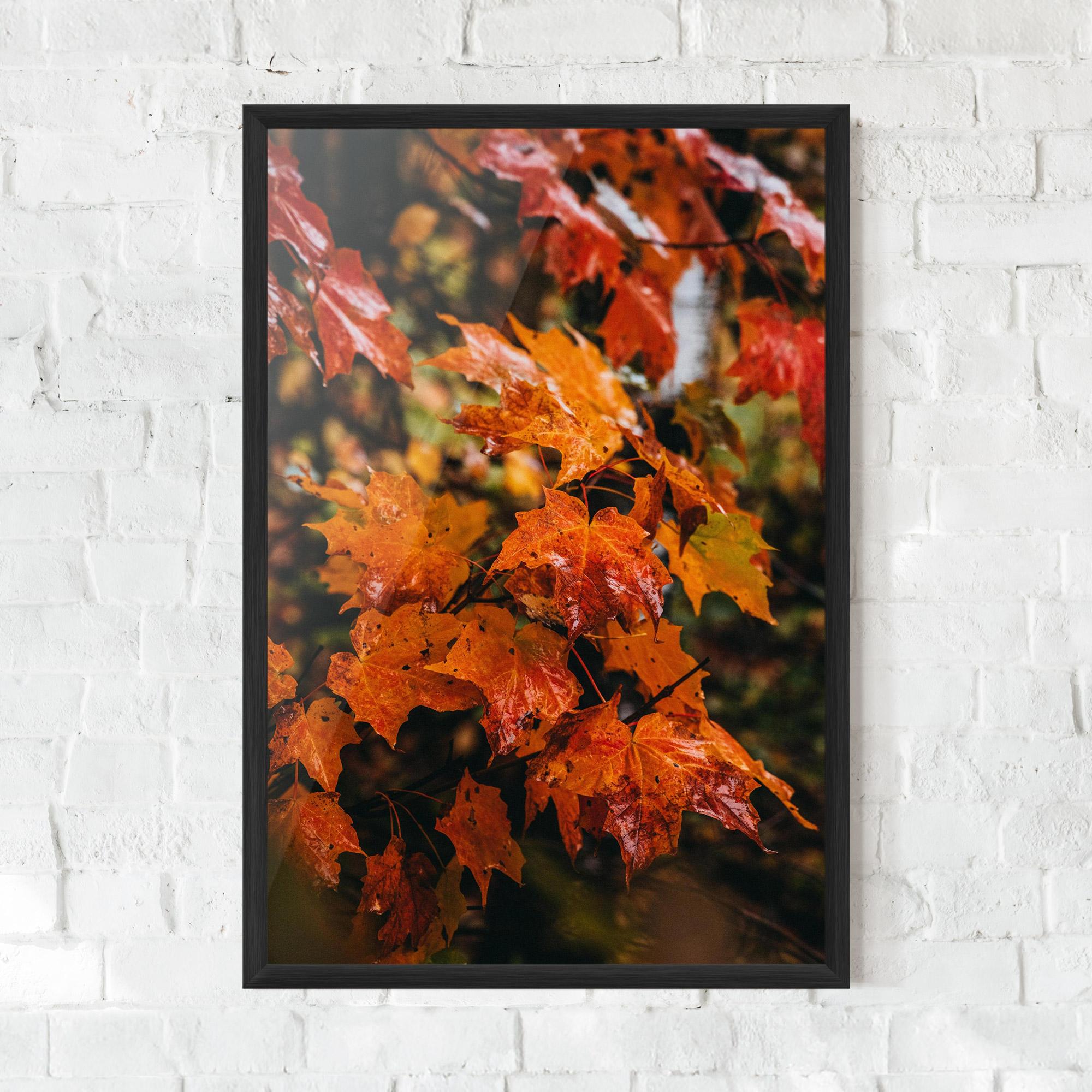 Gerahmte Poster Orange Autumn Leaves mockup 0