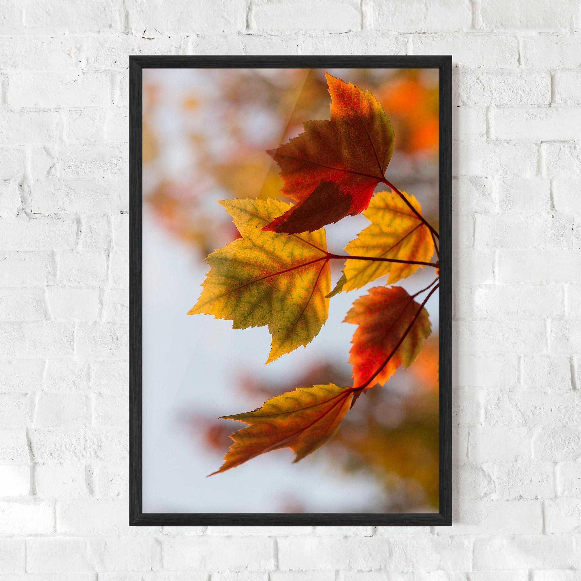 Gerahmte Poster Red Yellow Autumn mockup 0
